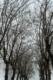 29/12/2024 par Gabriel Asper