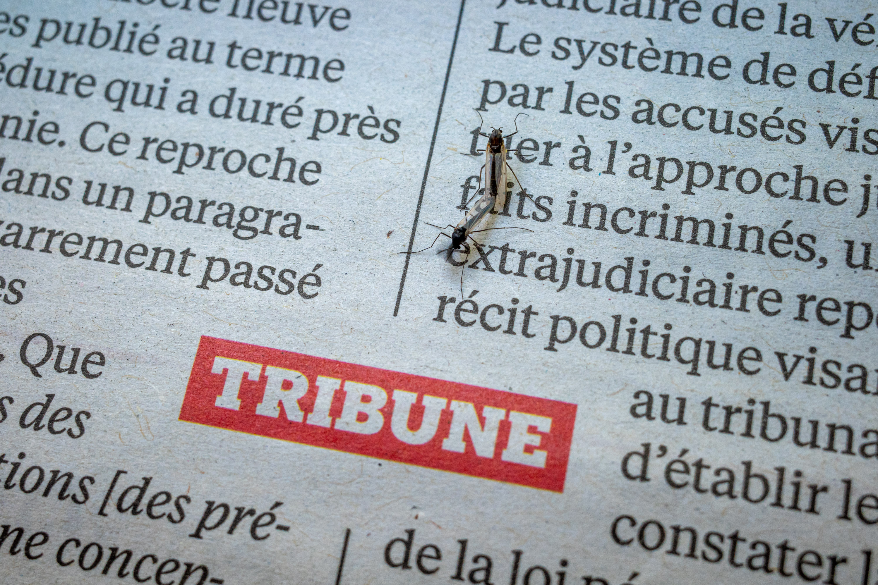 bonheur par Francis Traunig