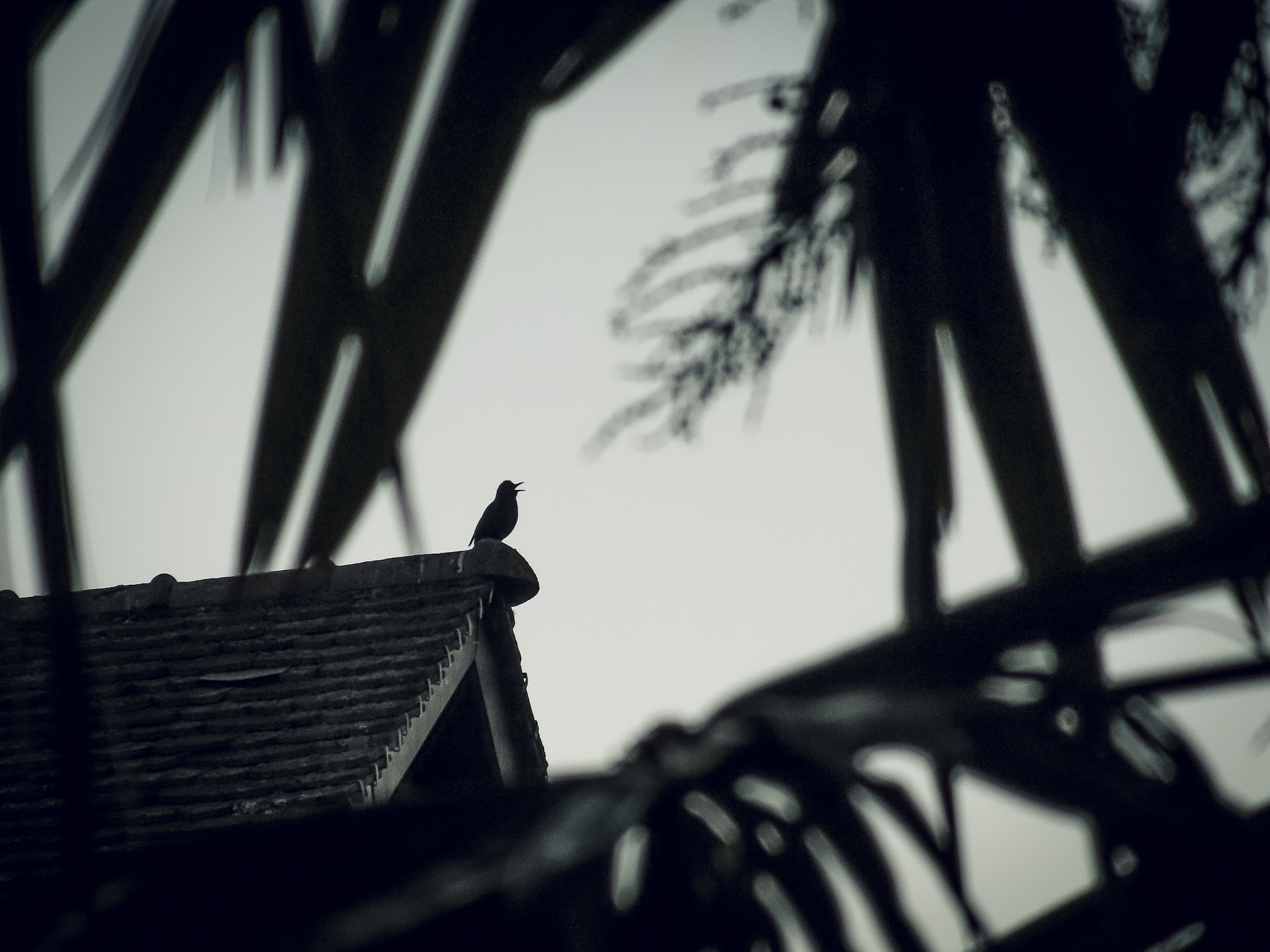  par Nicolas Spuhler
