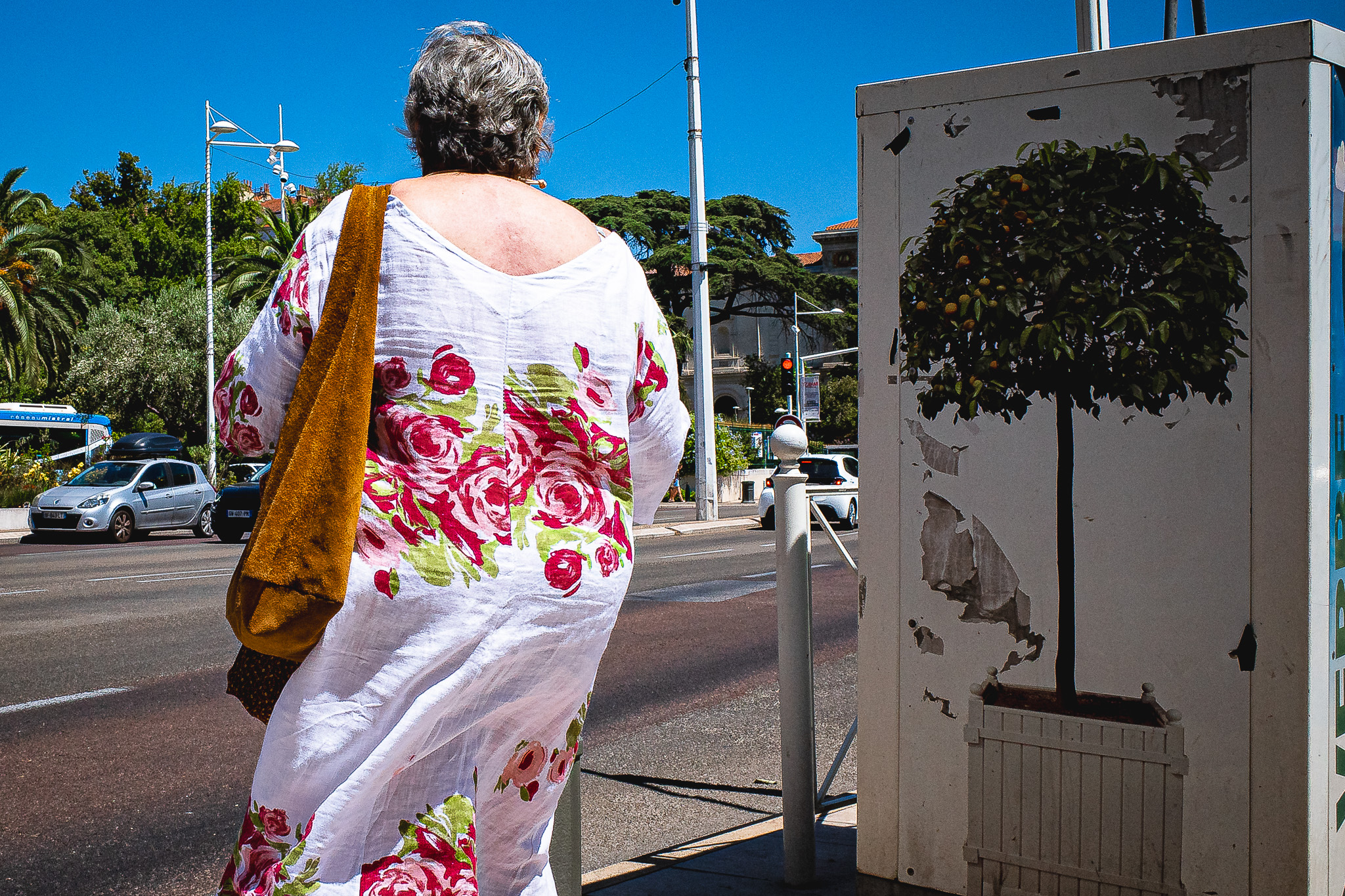 Végétalisons par Gérard Dubois