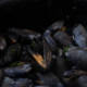 Du flou dans les moules (photojournala__e 2328) par Anne Wyrsch