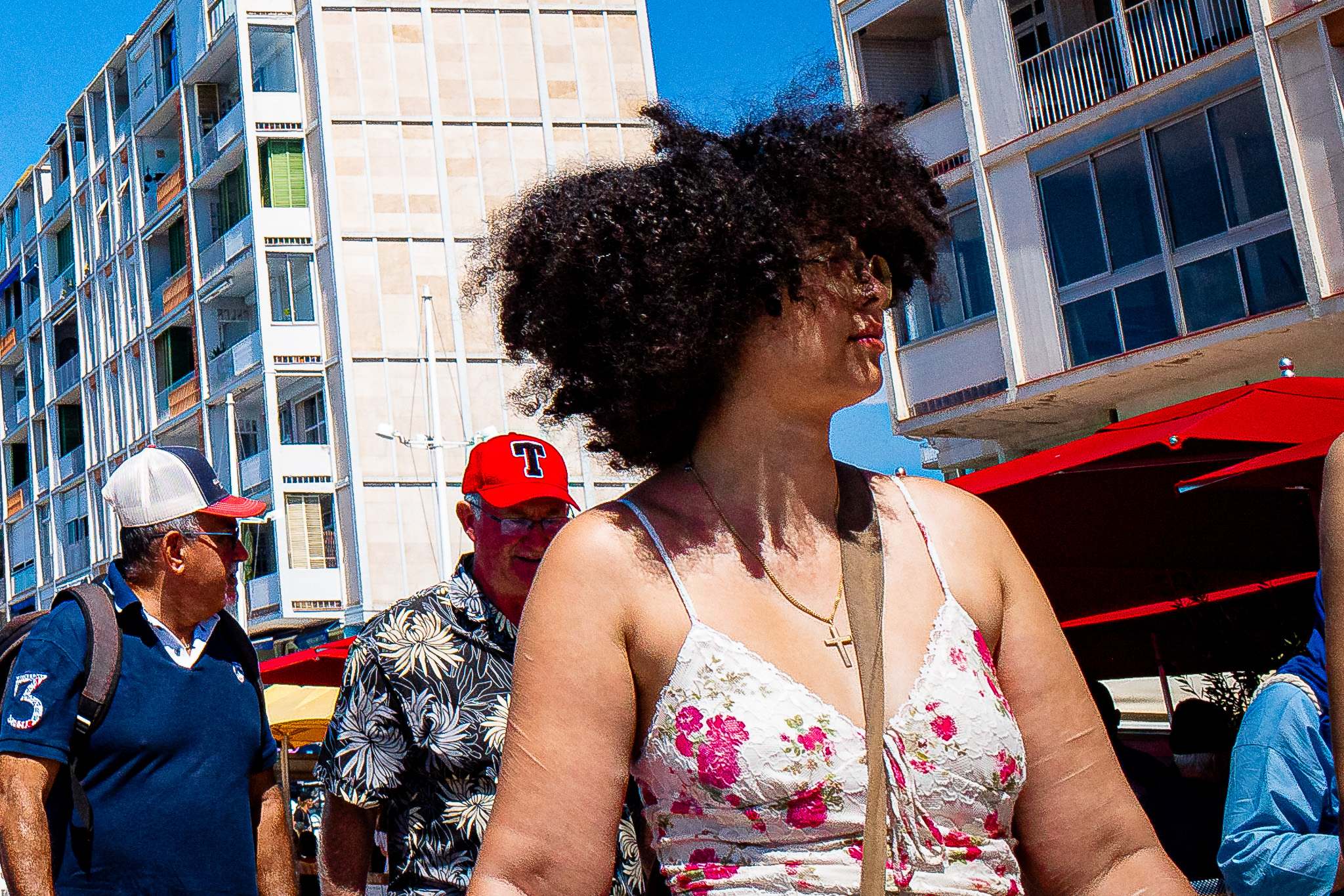 Frisée aux barbons par Gérard Dubois