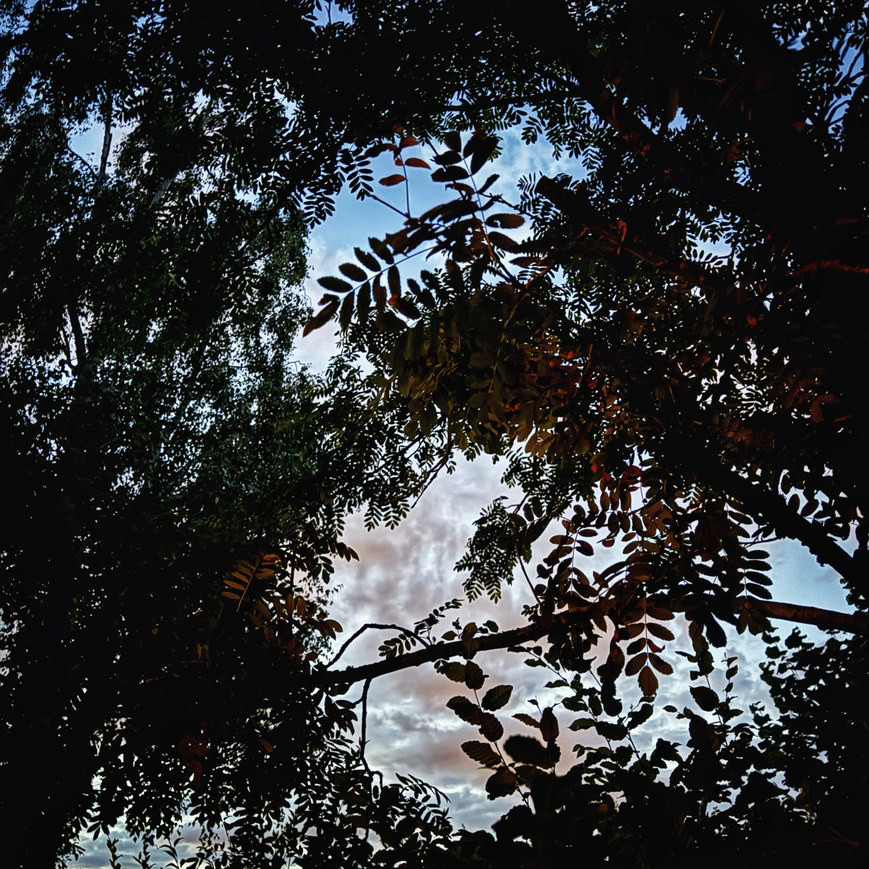  par Isabelle Meister