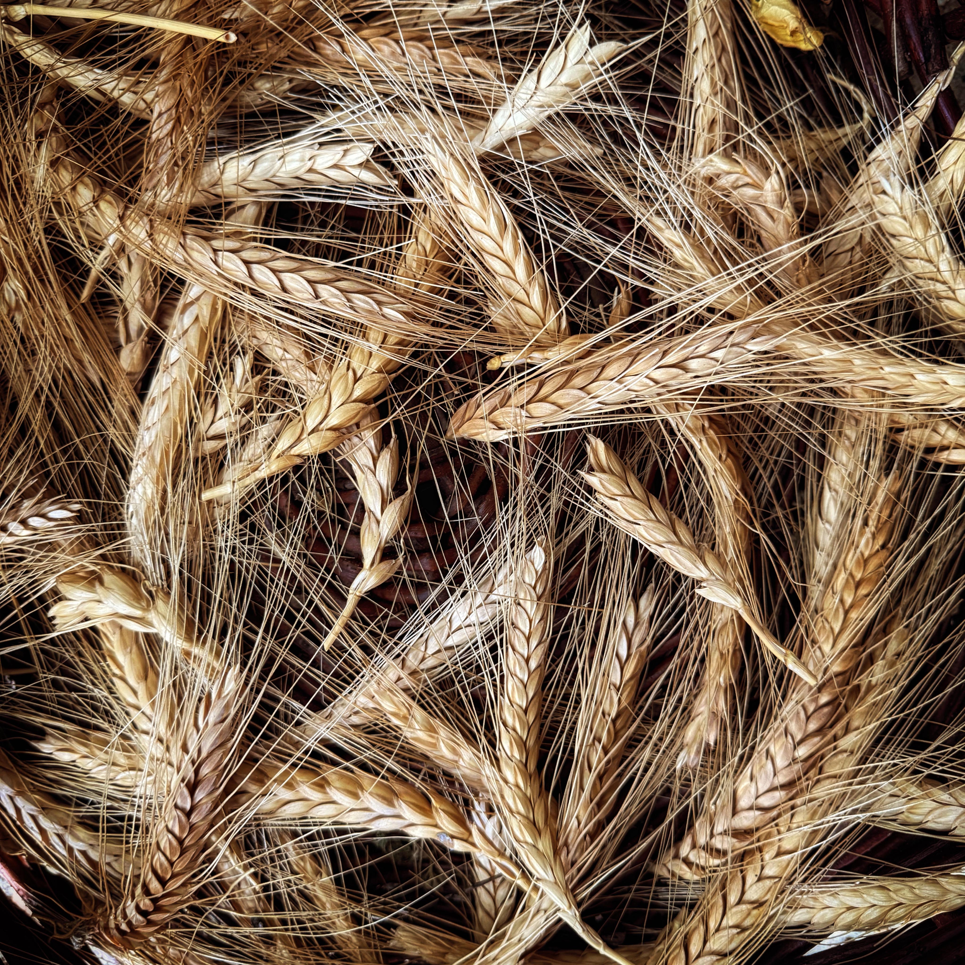  par Isabelle Meister