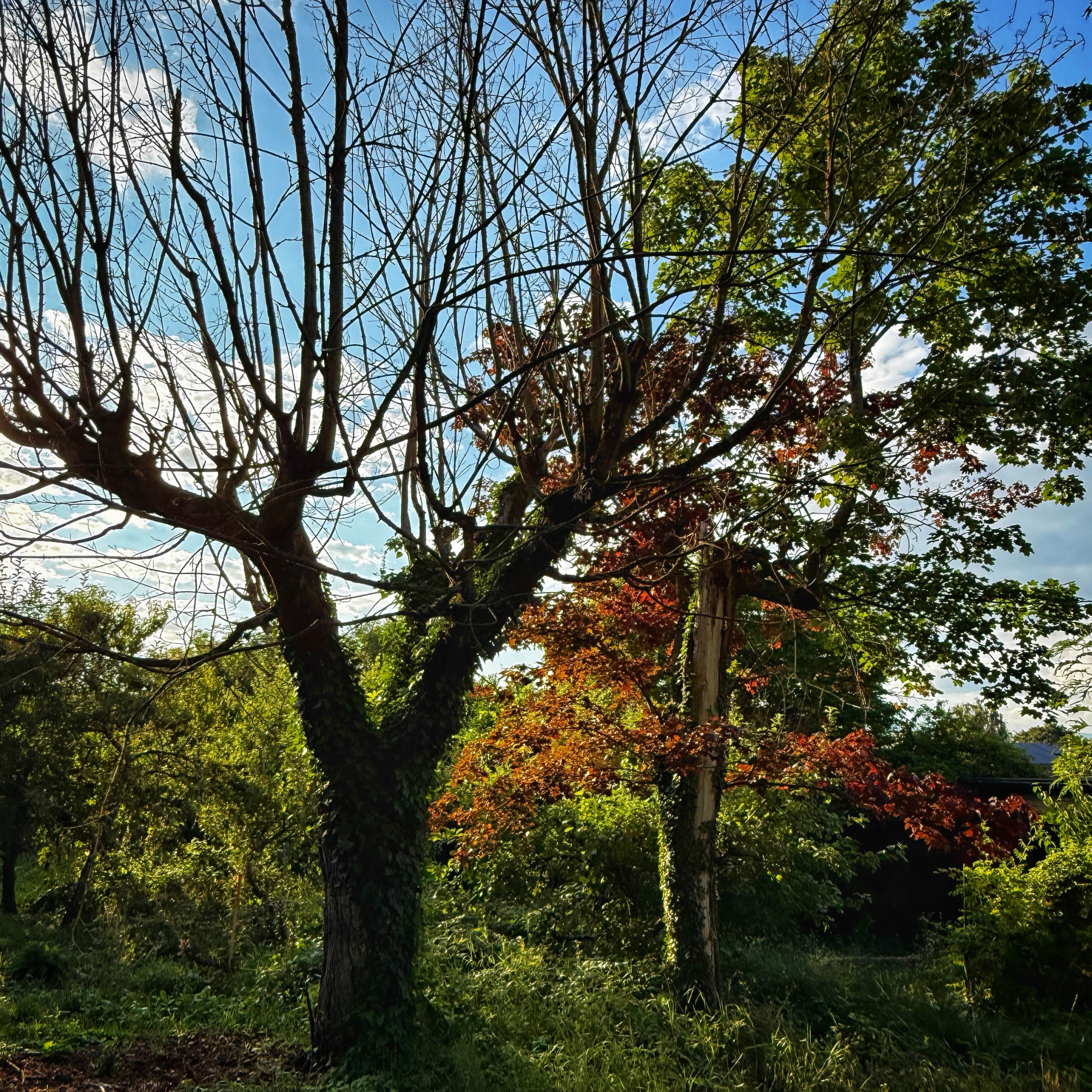  par Isabelle Meister