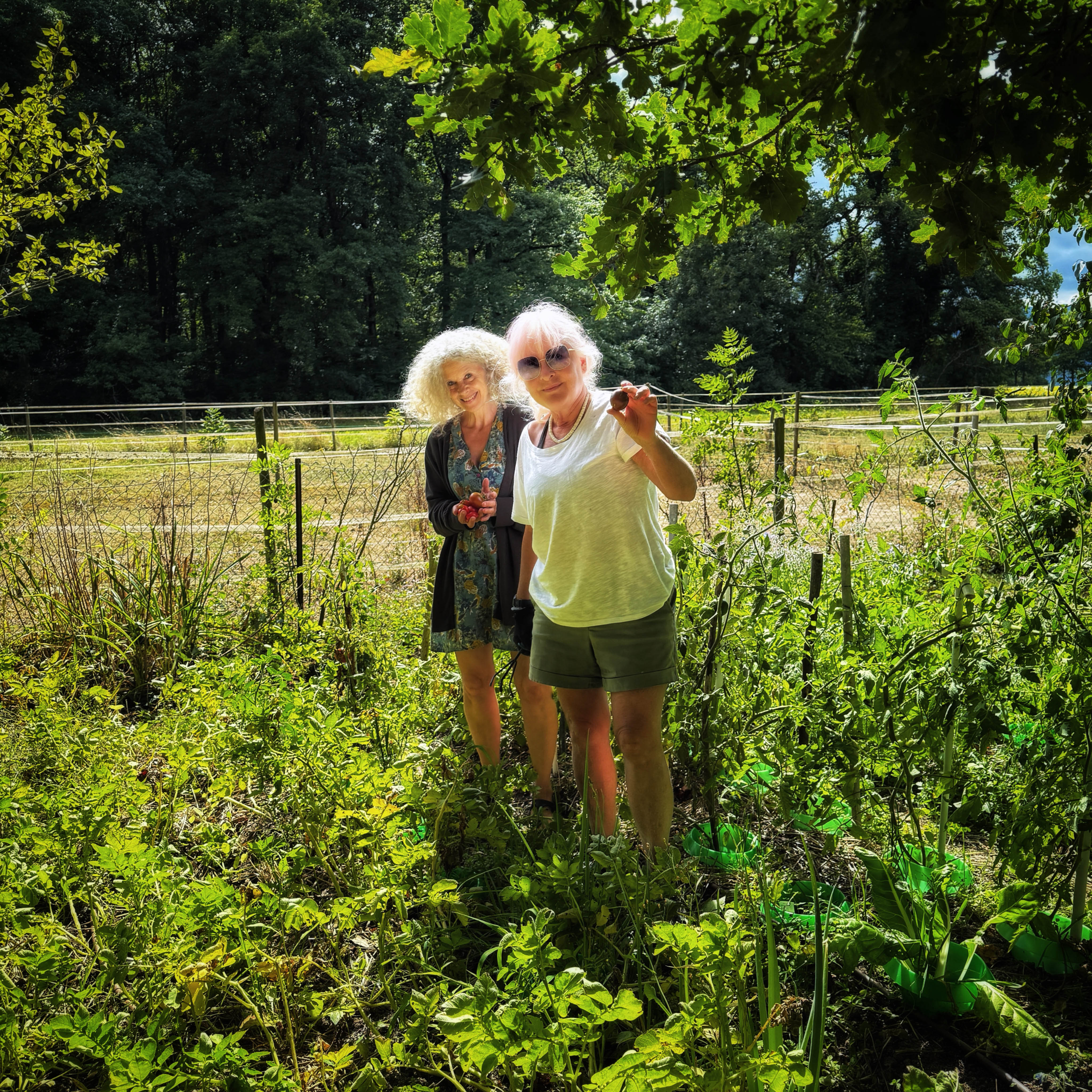  par Isabelle Meister