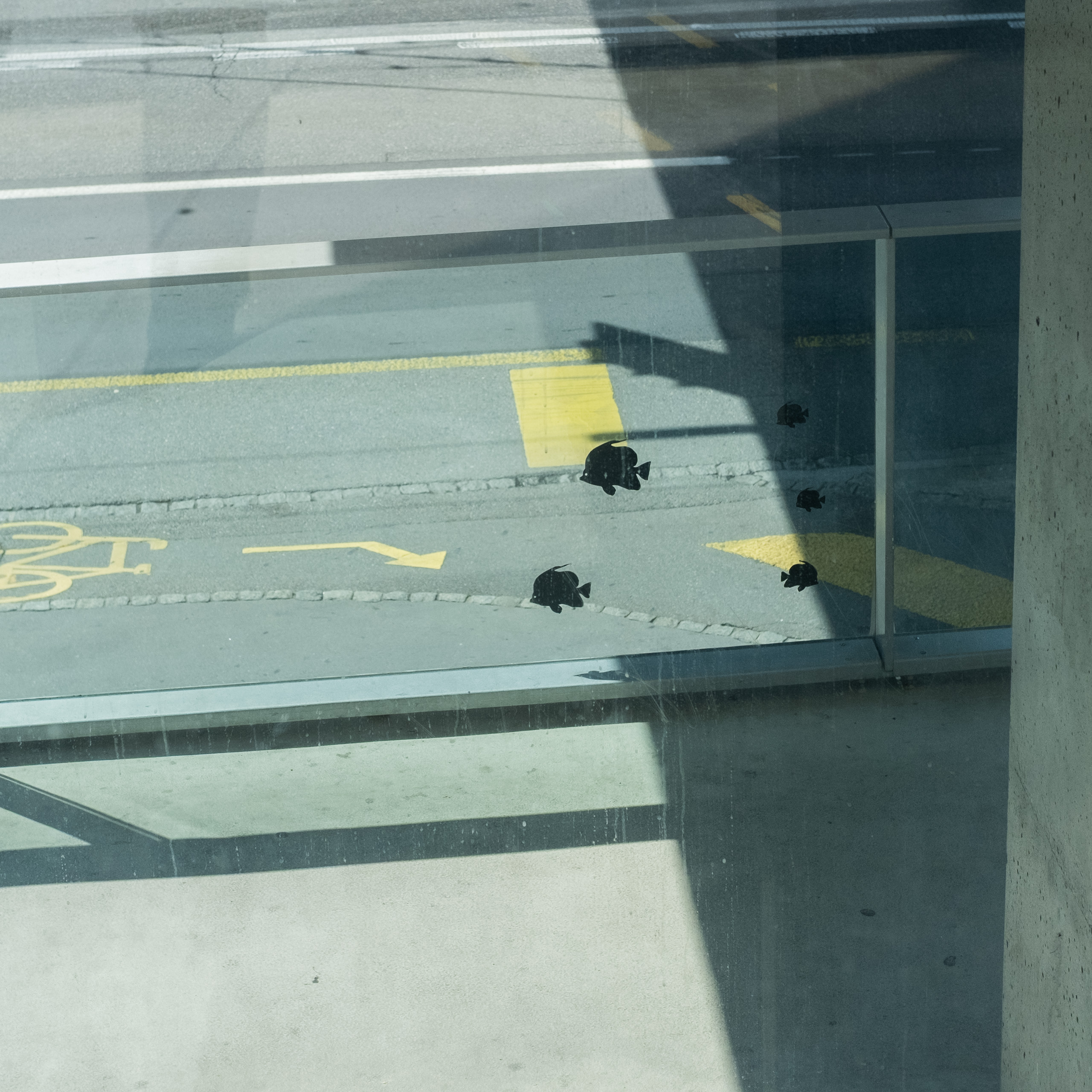 Aquarium (photojournala__e 2335) par Anne Wyrsch