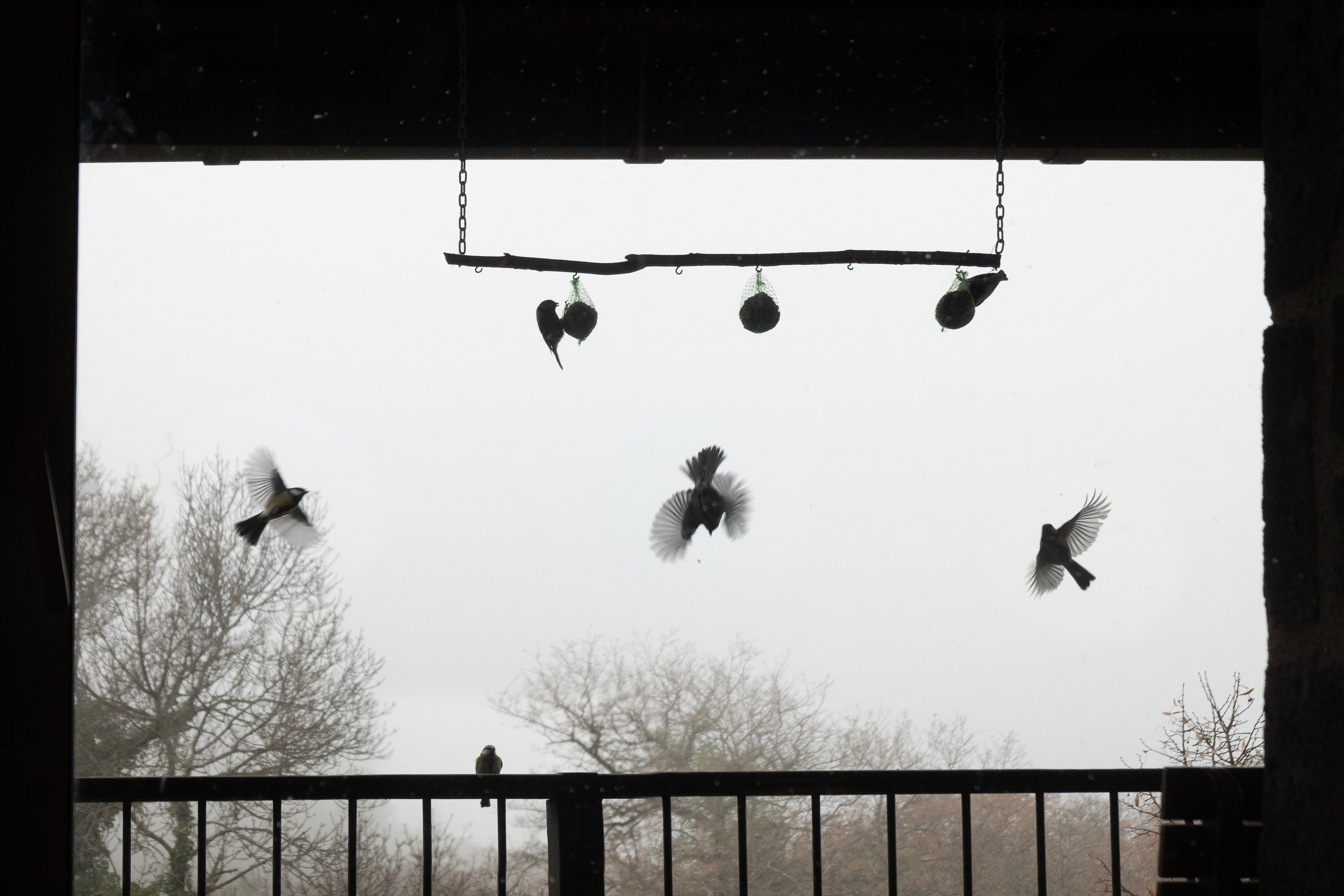  par Tristan Zilberman