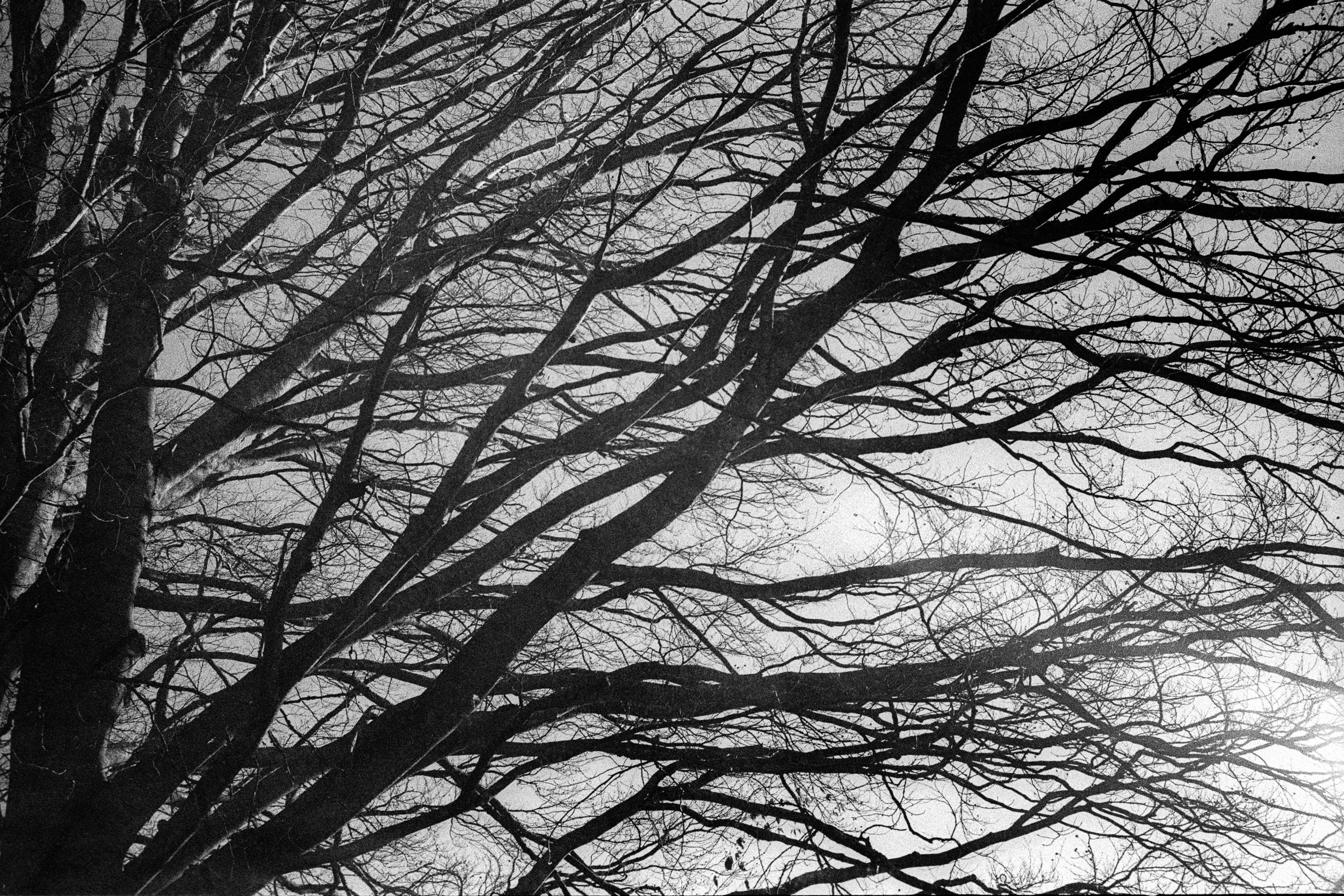  par Tristan Zilberman