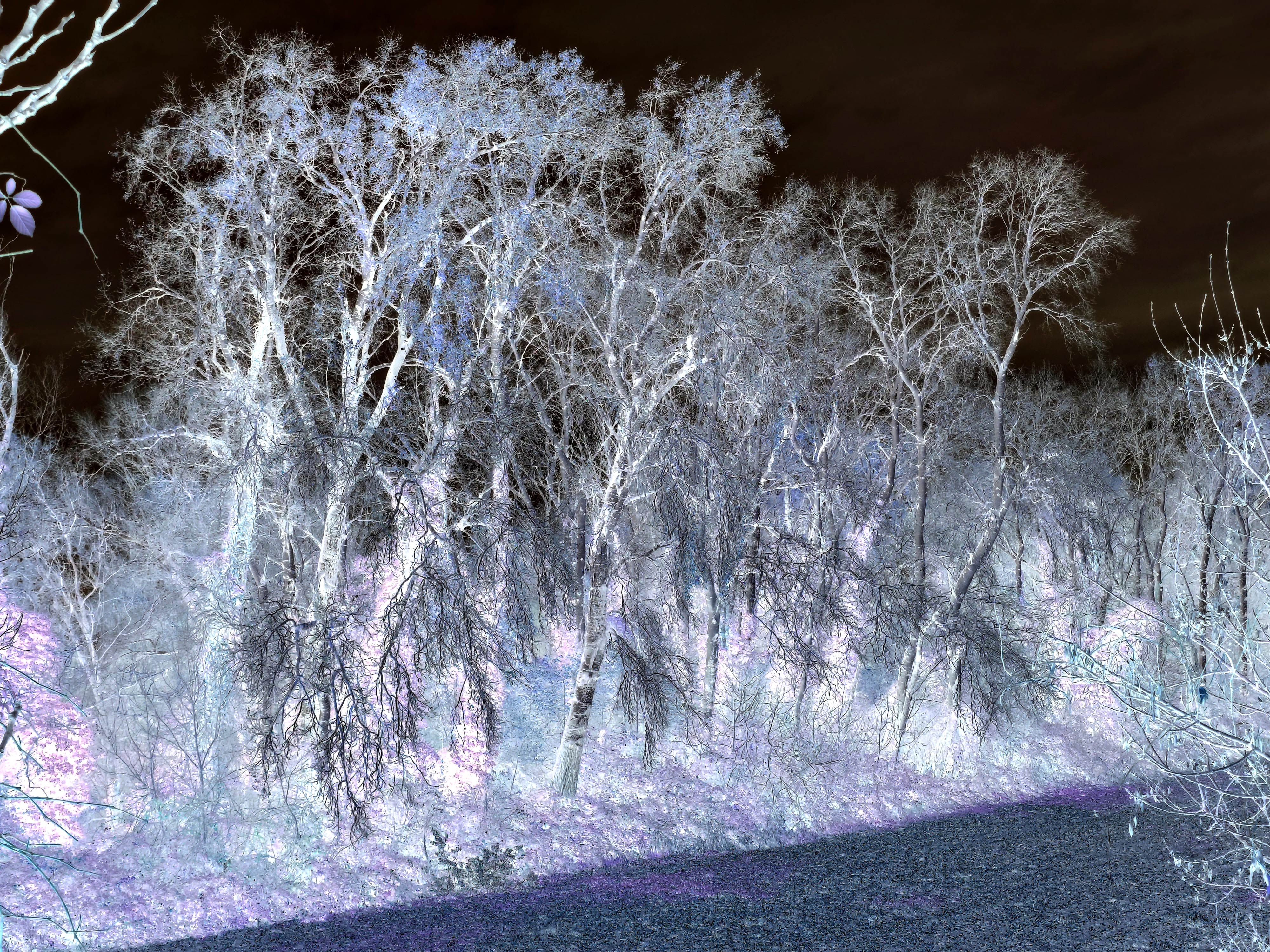  par Arnaud Lancelevée