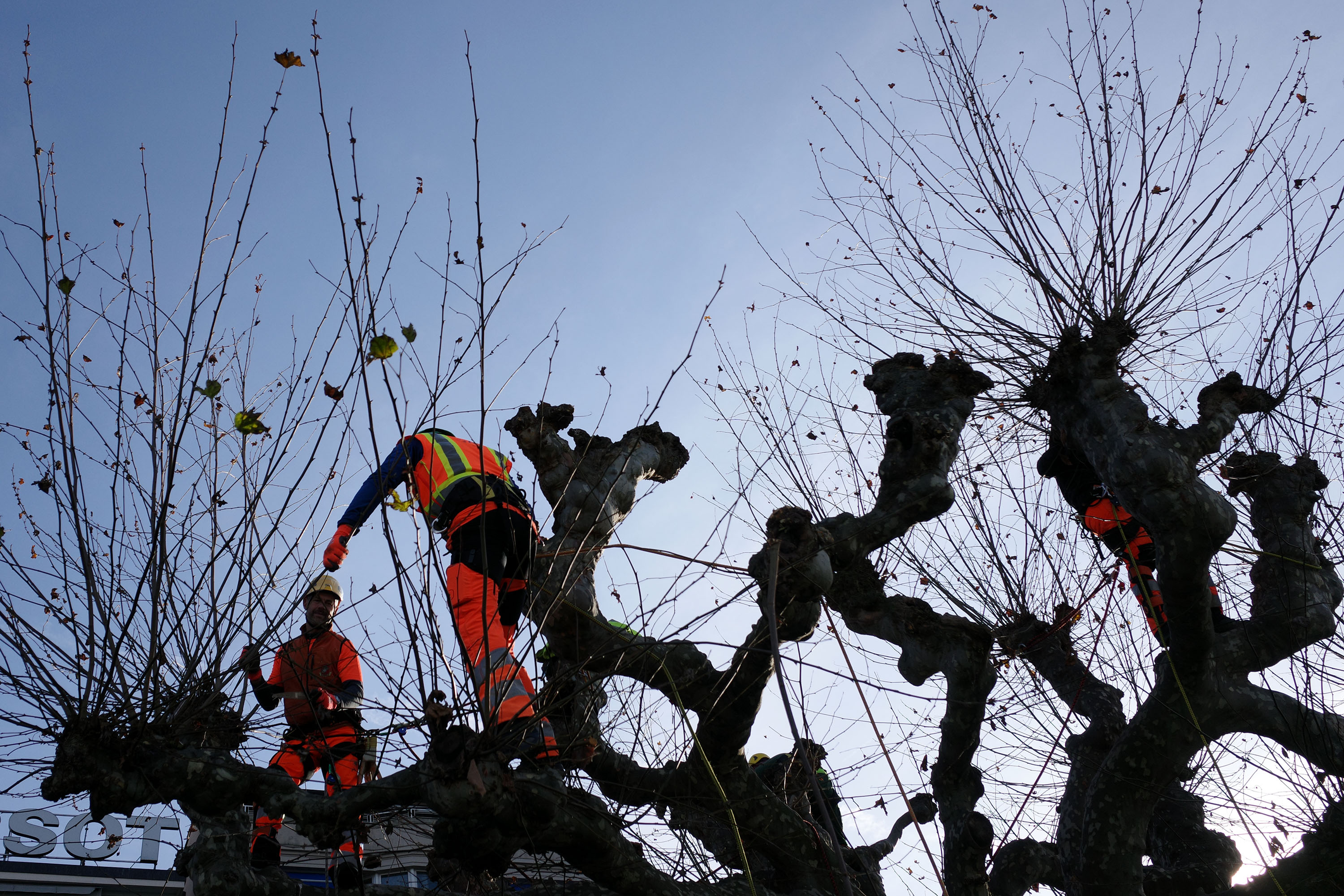 Genève, le 11 décembre 2025 par Silvia Bernardi
