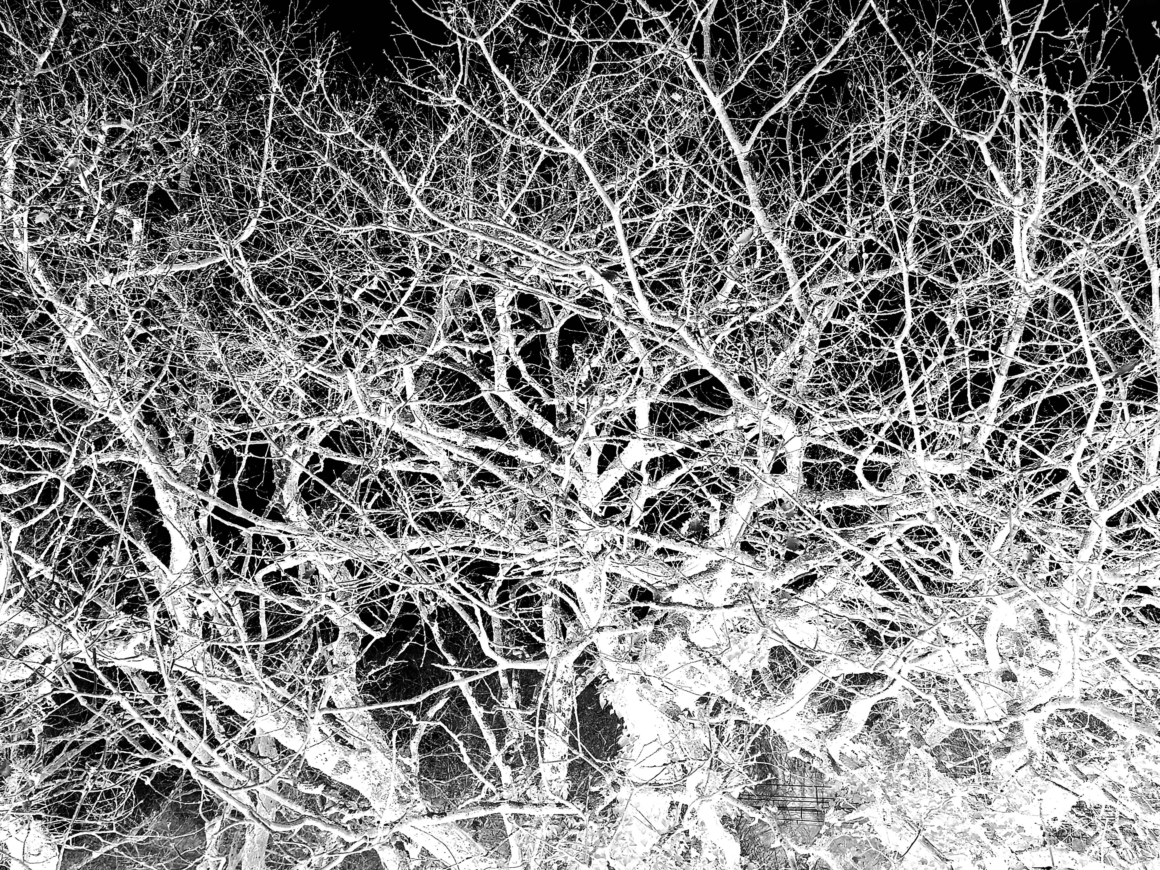  par Arnaud Lancelevée