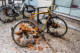 Les sanglots longs des vélos de l’automne… par Gérard Dubois