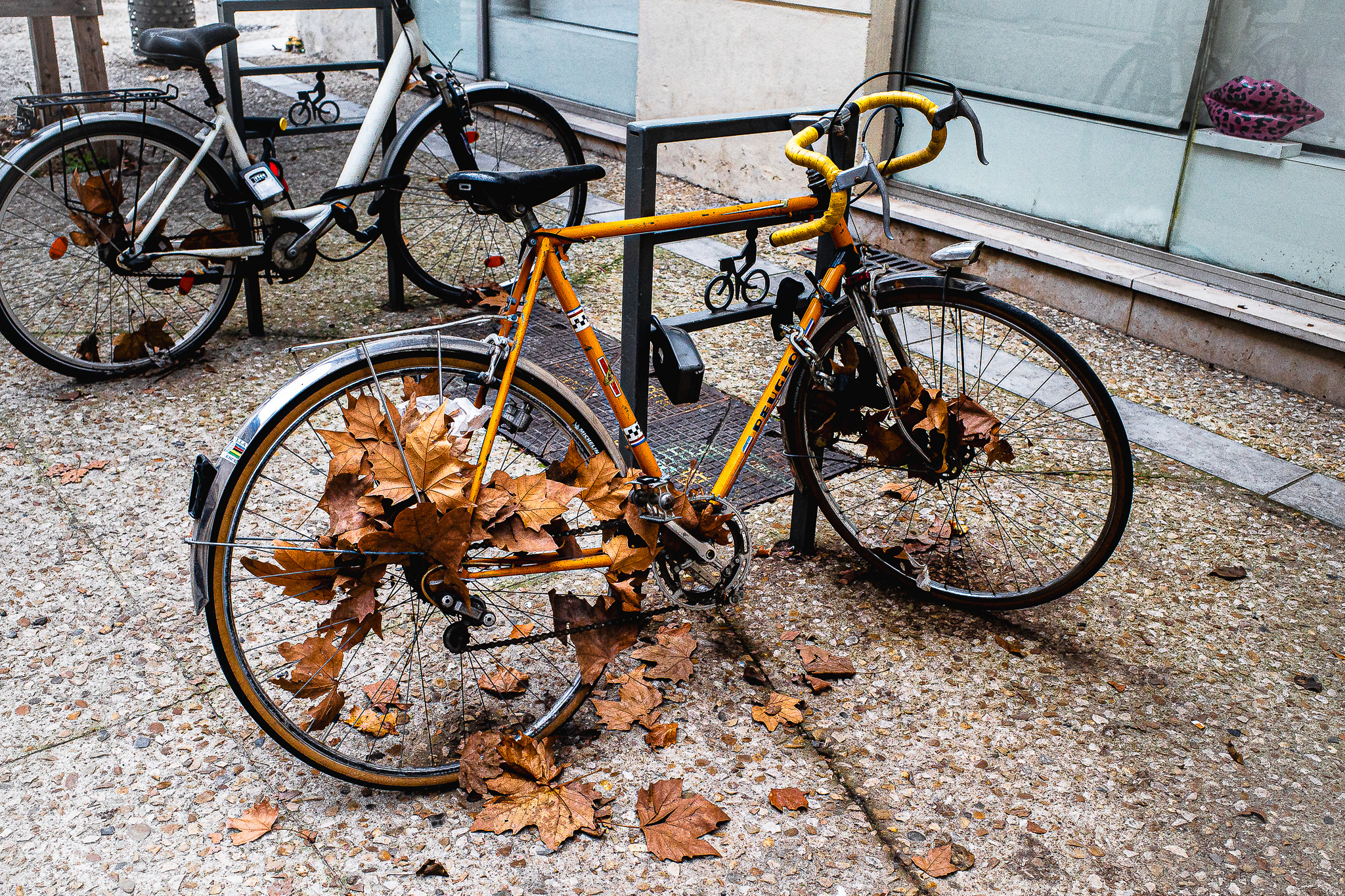 Les sanglots longs des vélos de l’automne… par Gérard Dubois