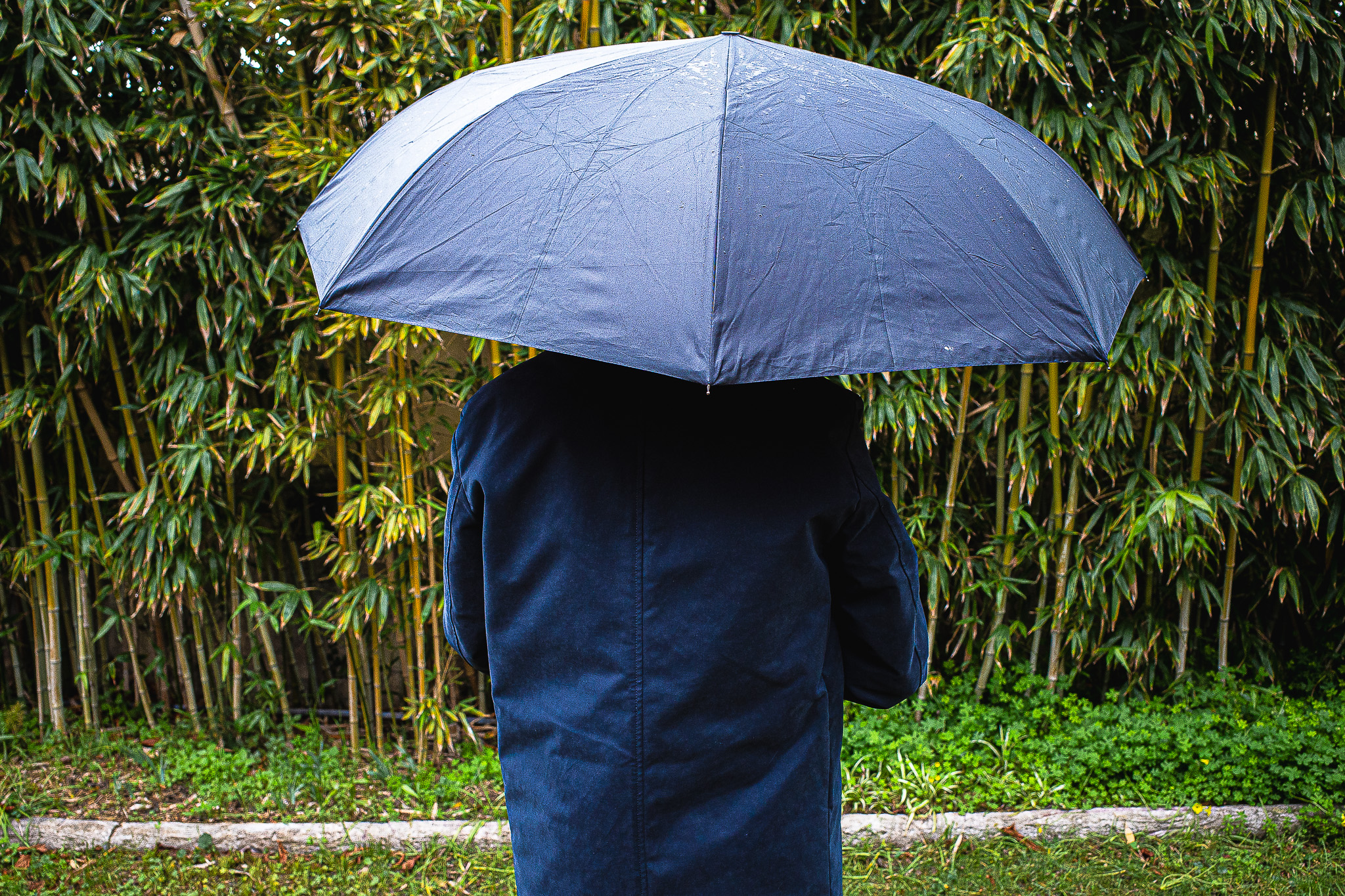Il y a des jours… par Gérard Dubois