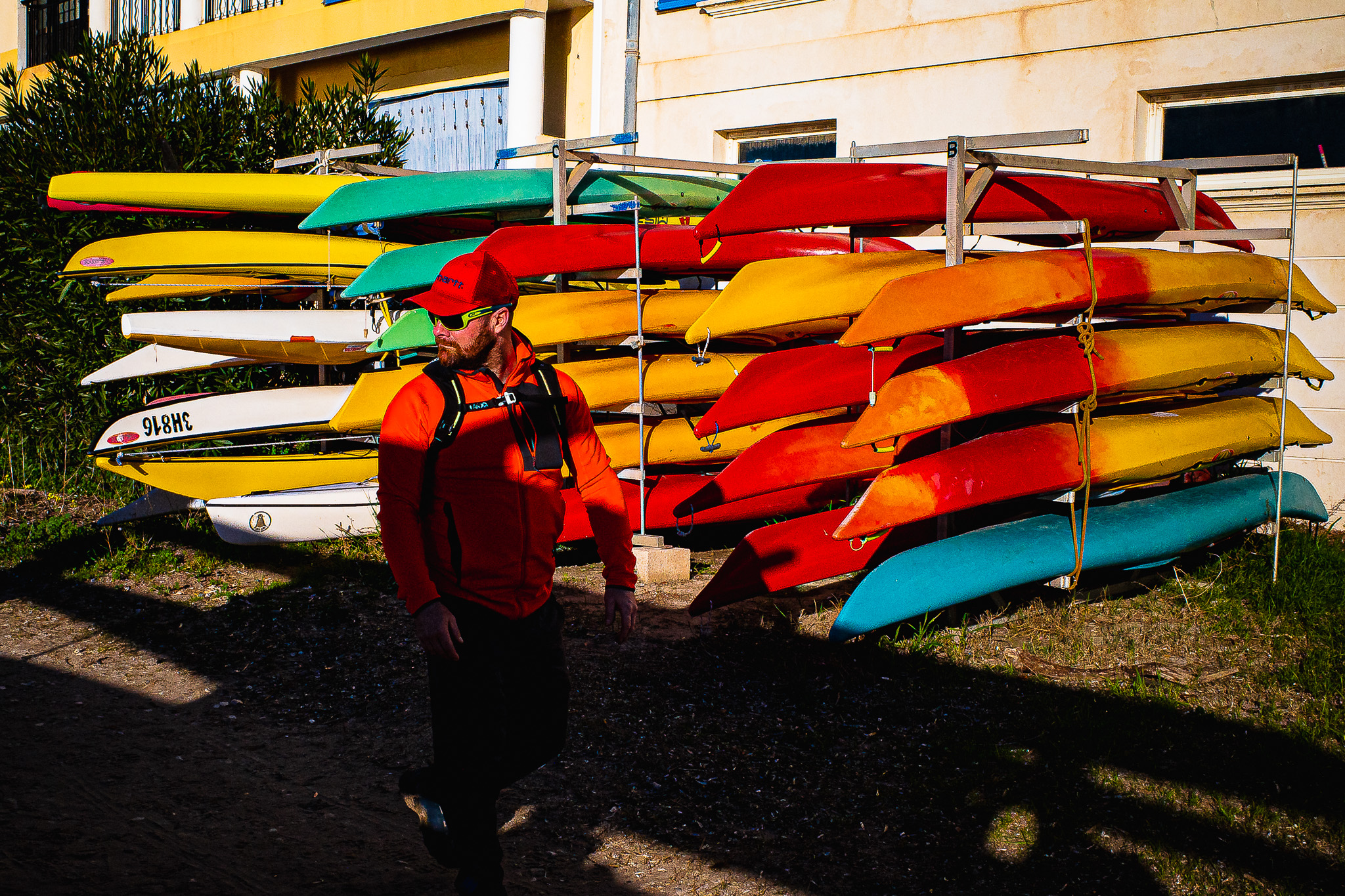 Caméléon par Gérard Dubois
