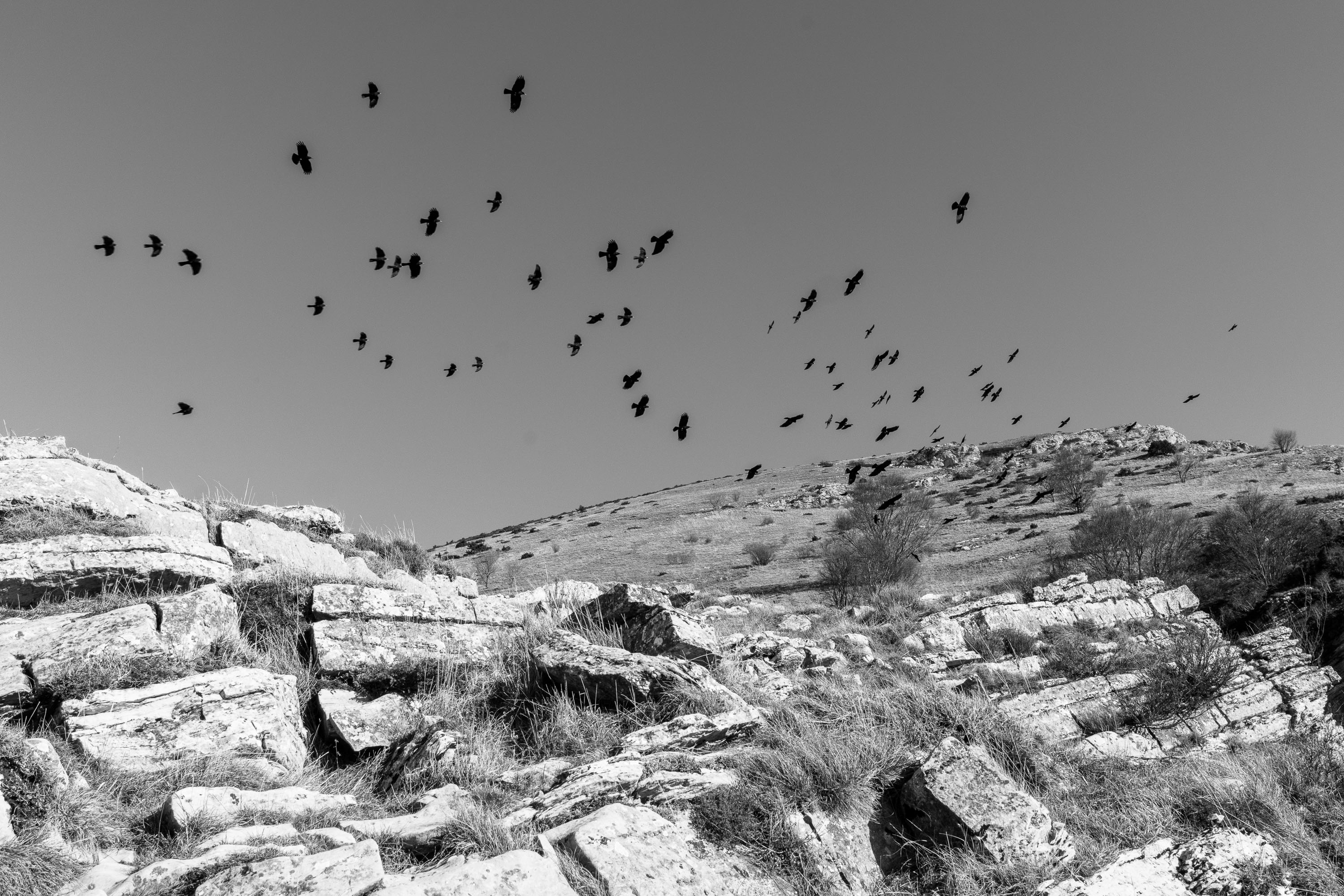  par Tristan Zilberman