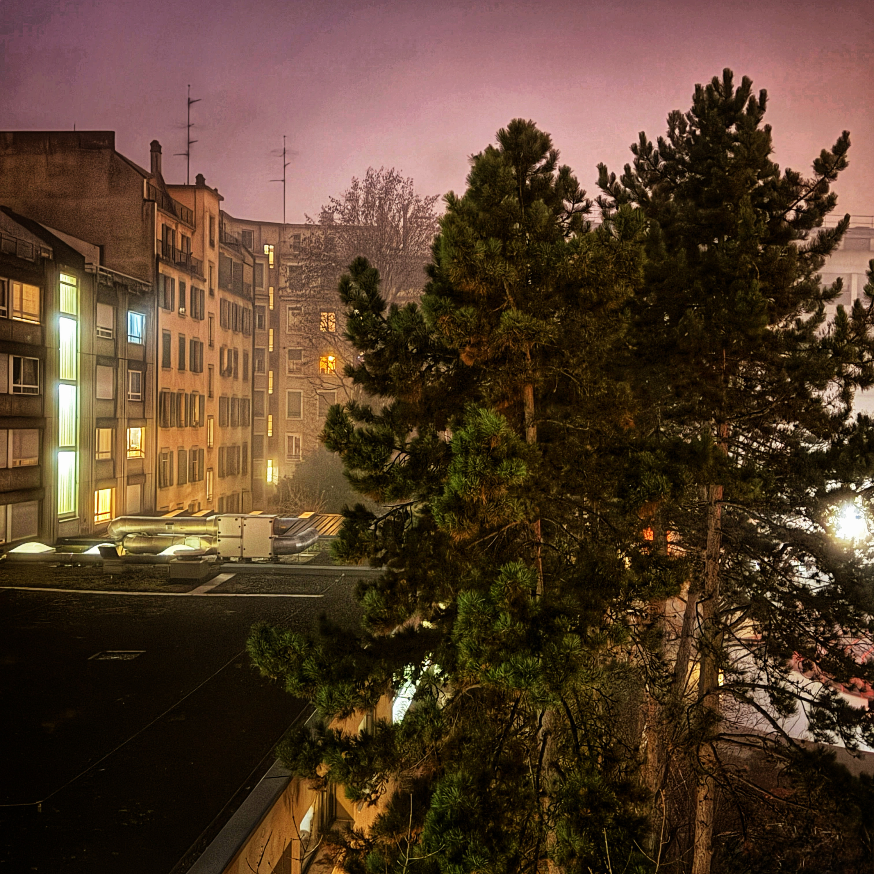  par Isabelle Meister