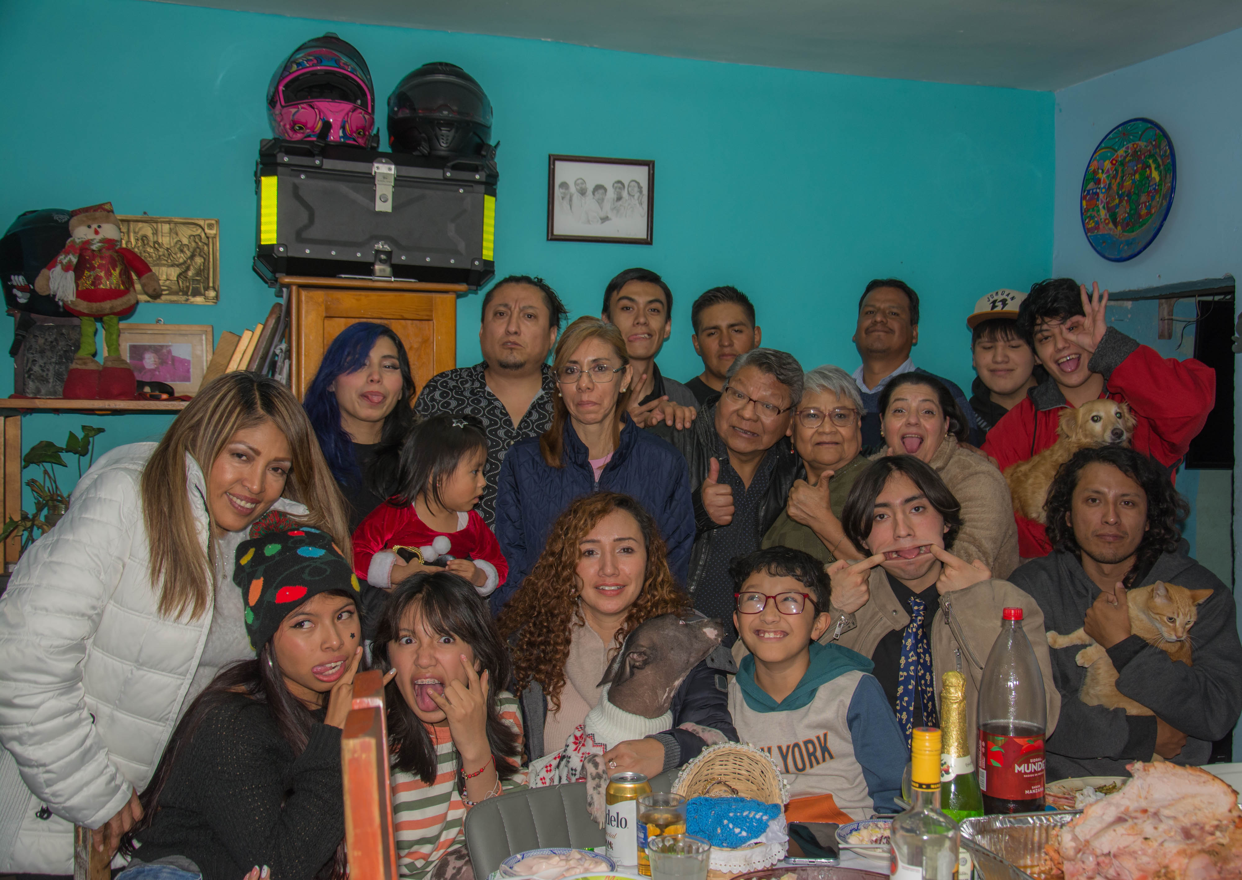 El Milagro de la Estirpe: Nuestro Retrato Colectivo par Rodrigo Alonso