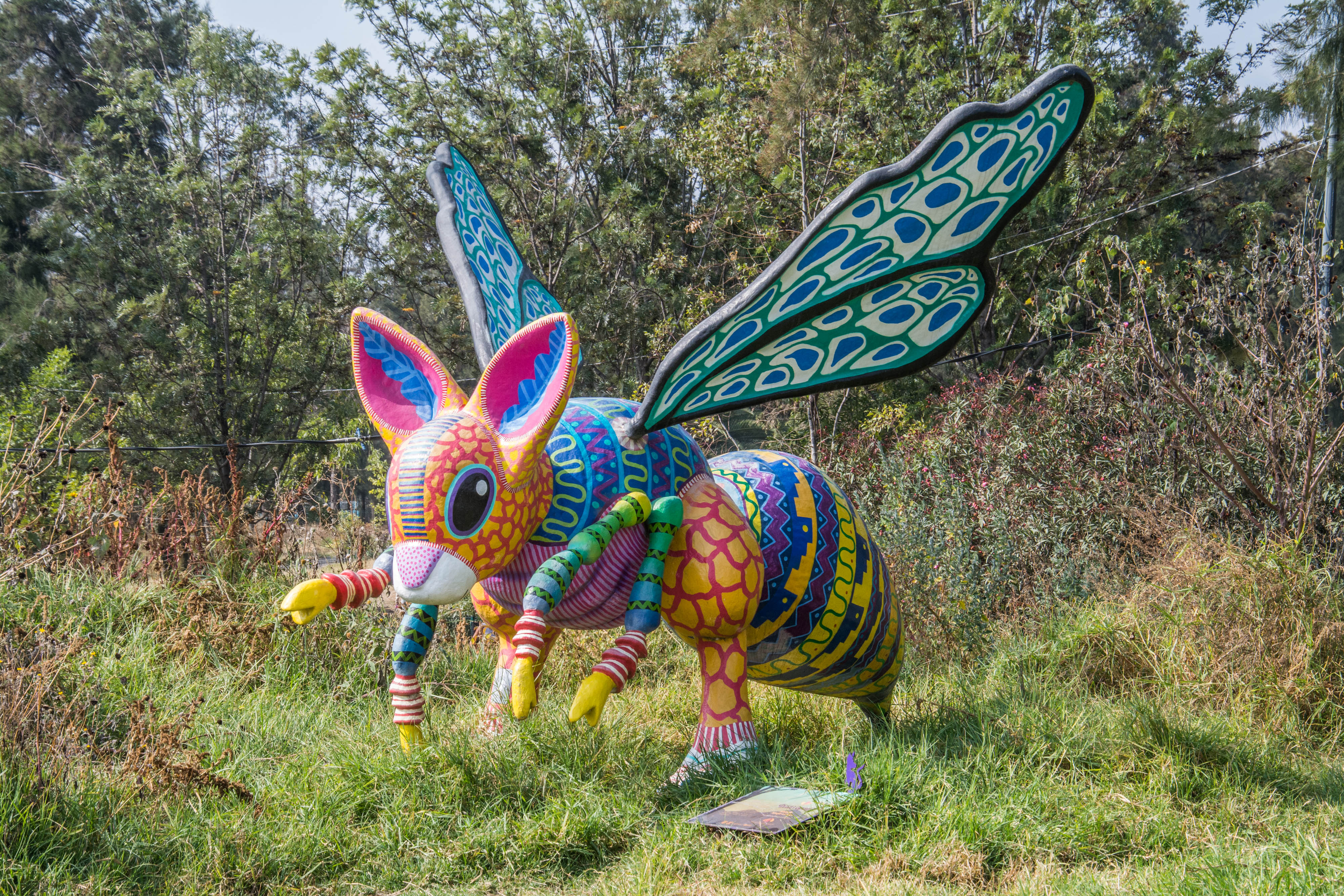 Alebrijes par Rodrigo Alonso