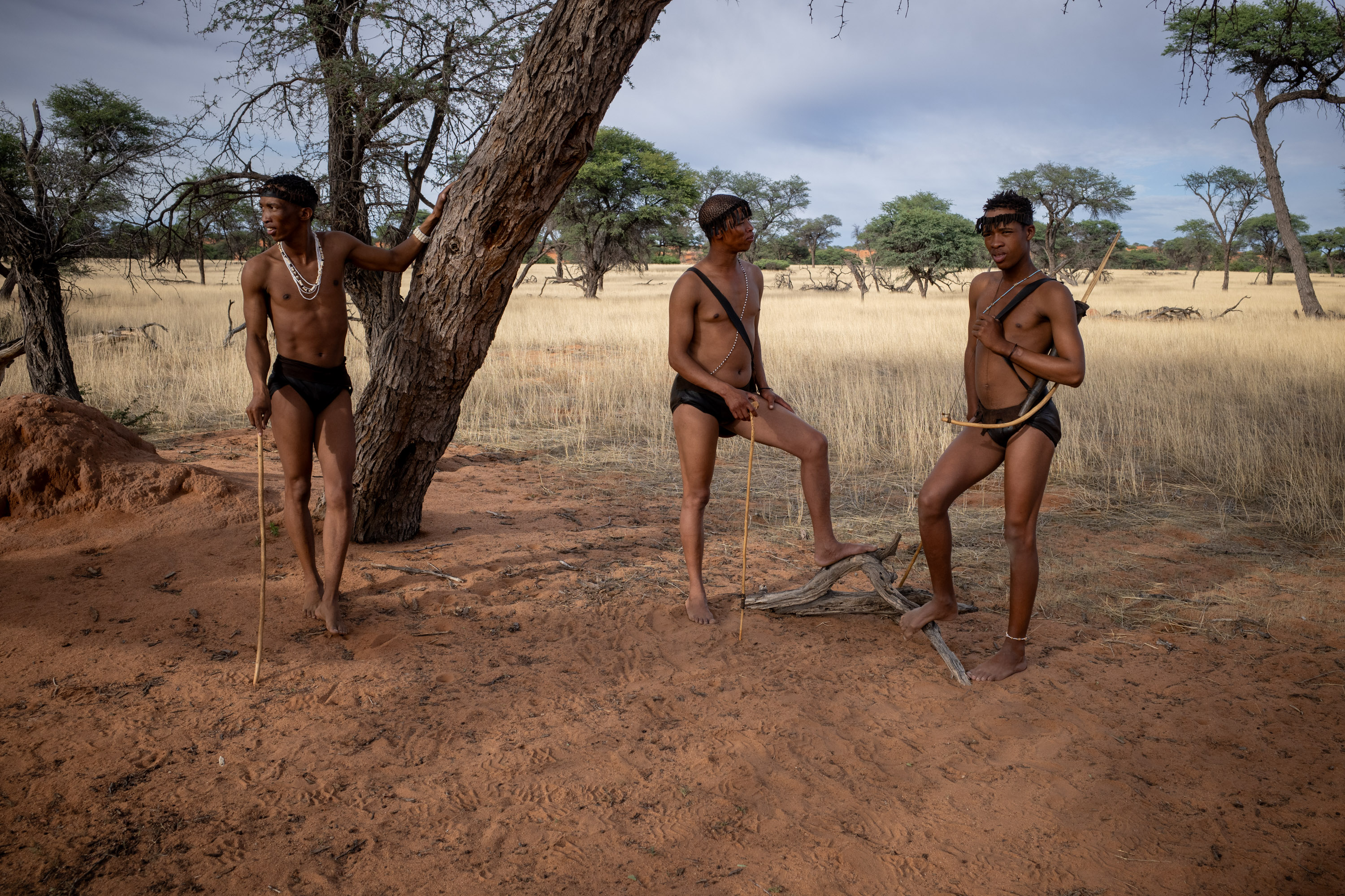 Les San… par Francis Traunig