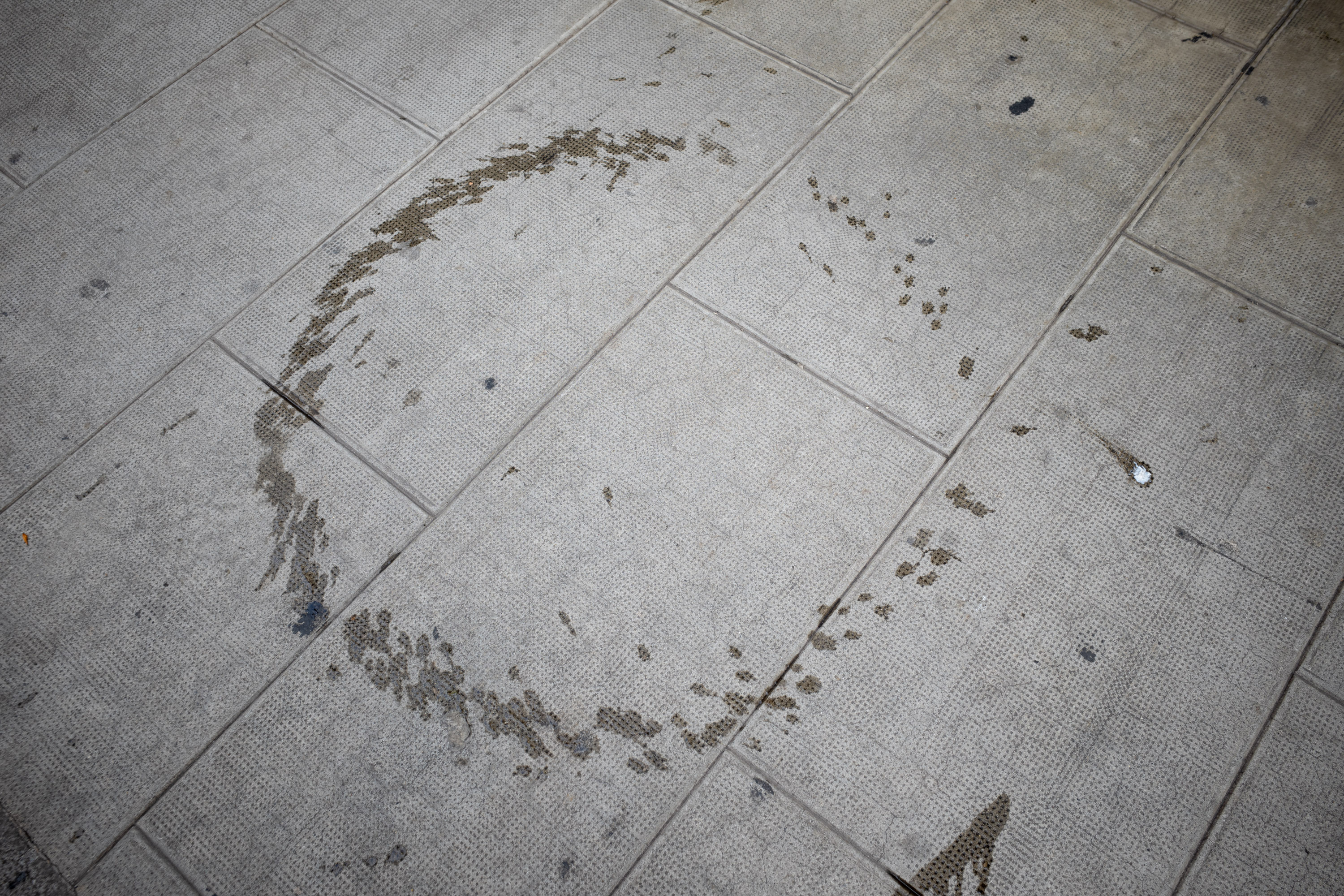 Lendemain de fête par Francis Traunig