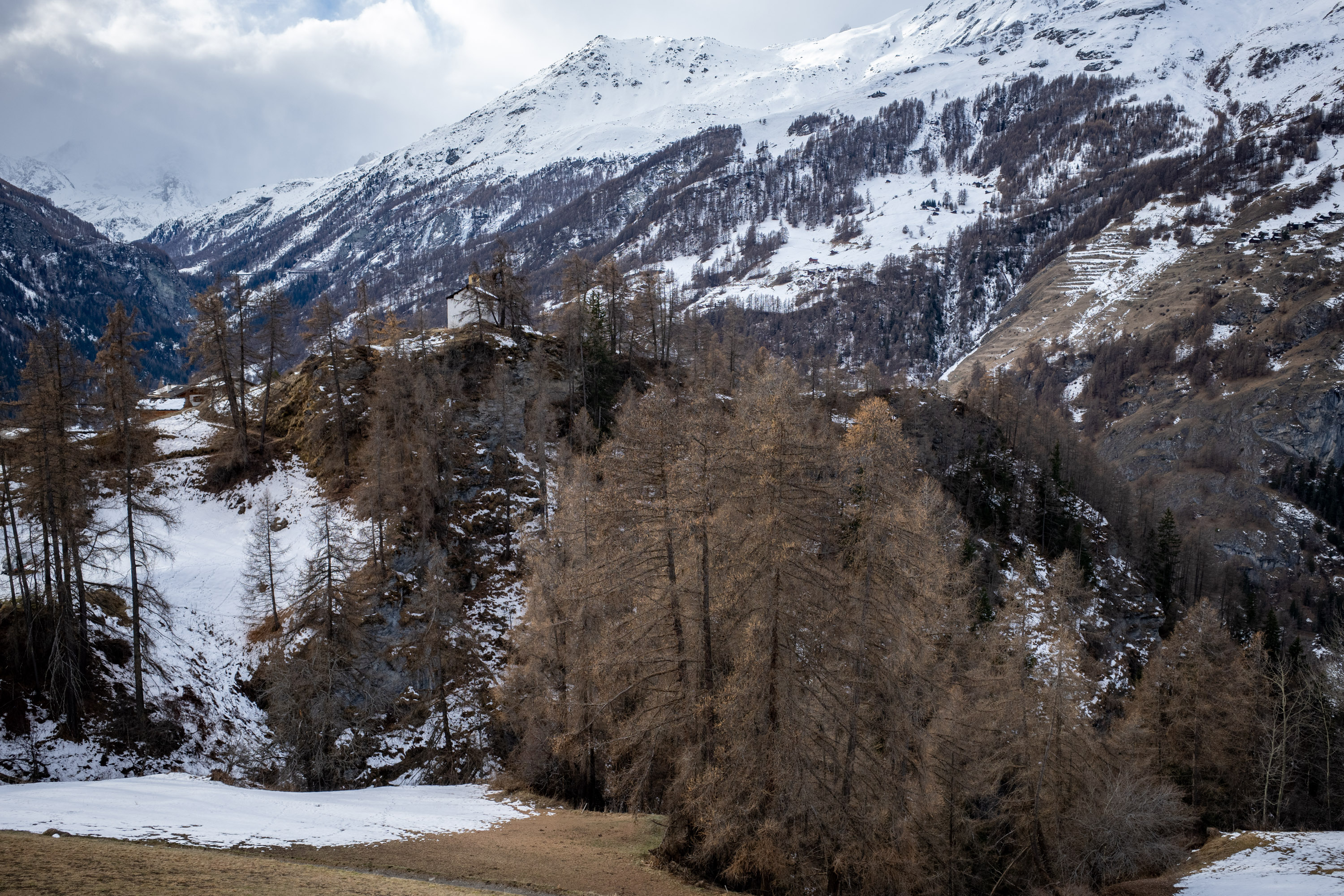 La Sage par Francis Traunig