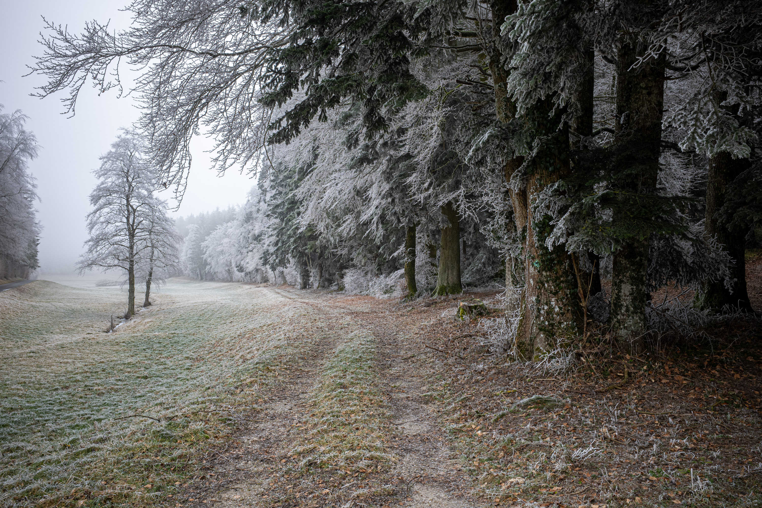 Il y a… par Francis Traunig