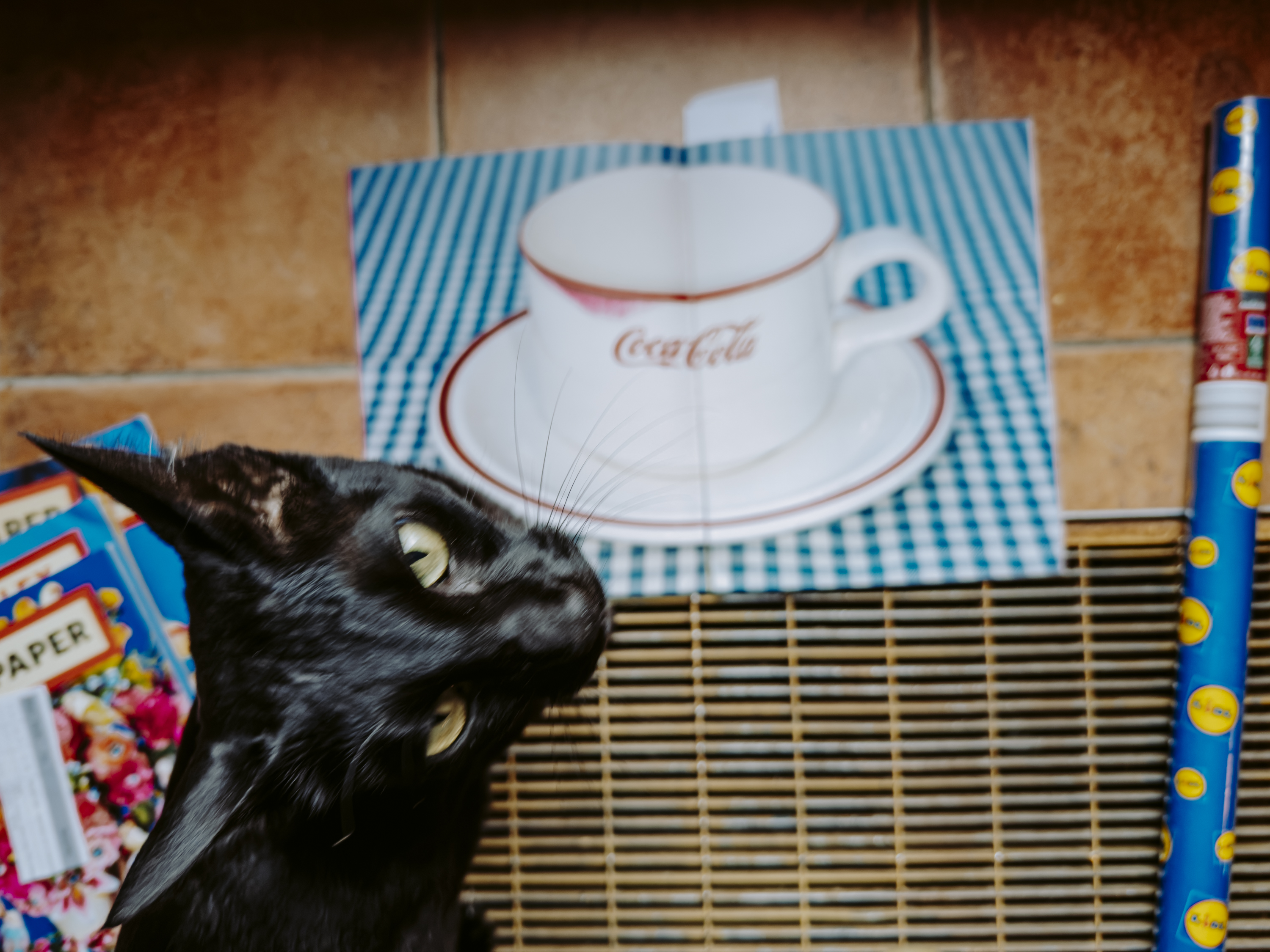 coca par Nicolas Spuhler