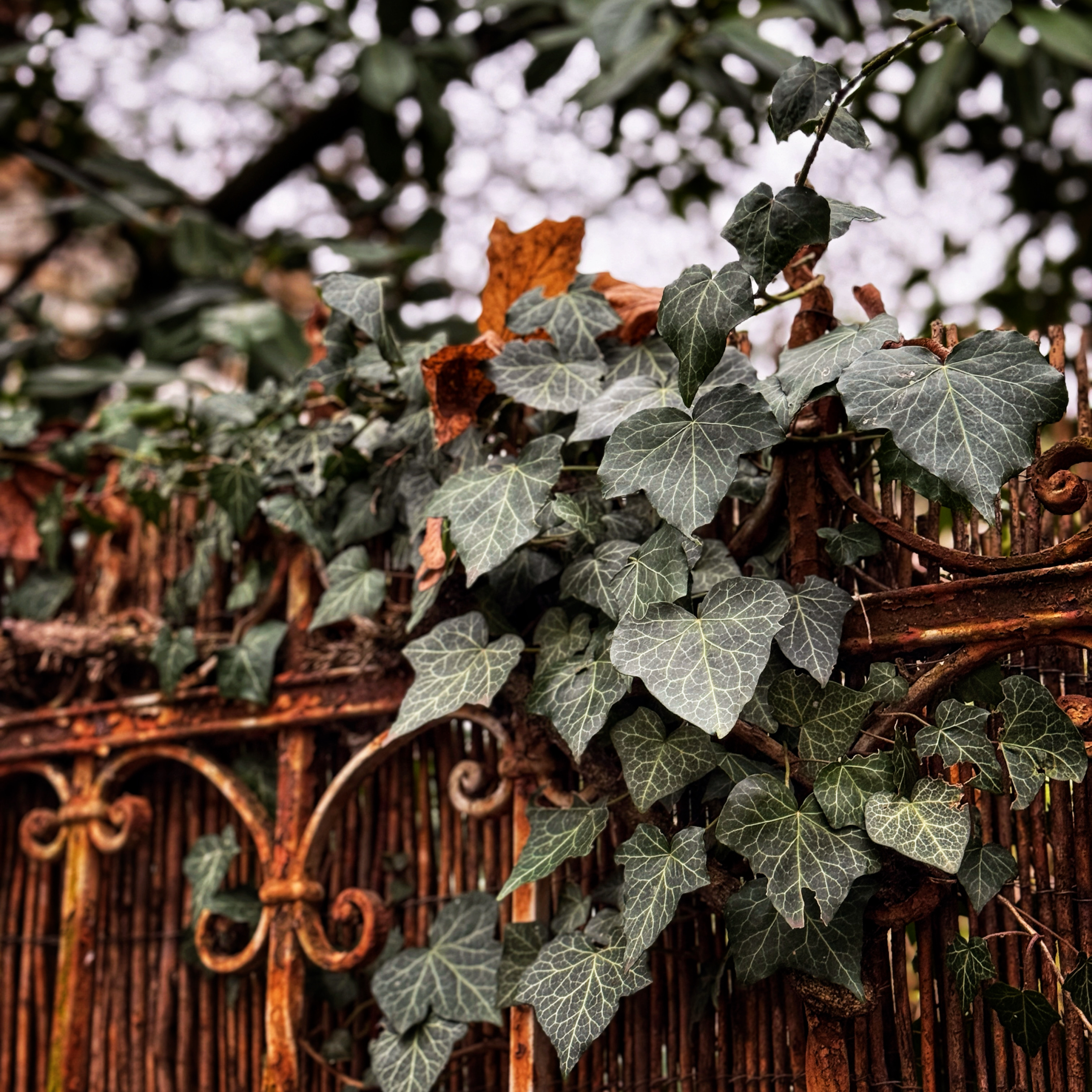  par Isabelle Meister