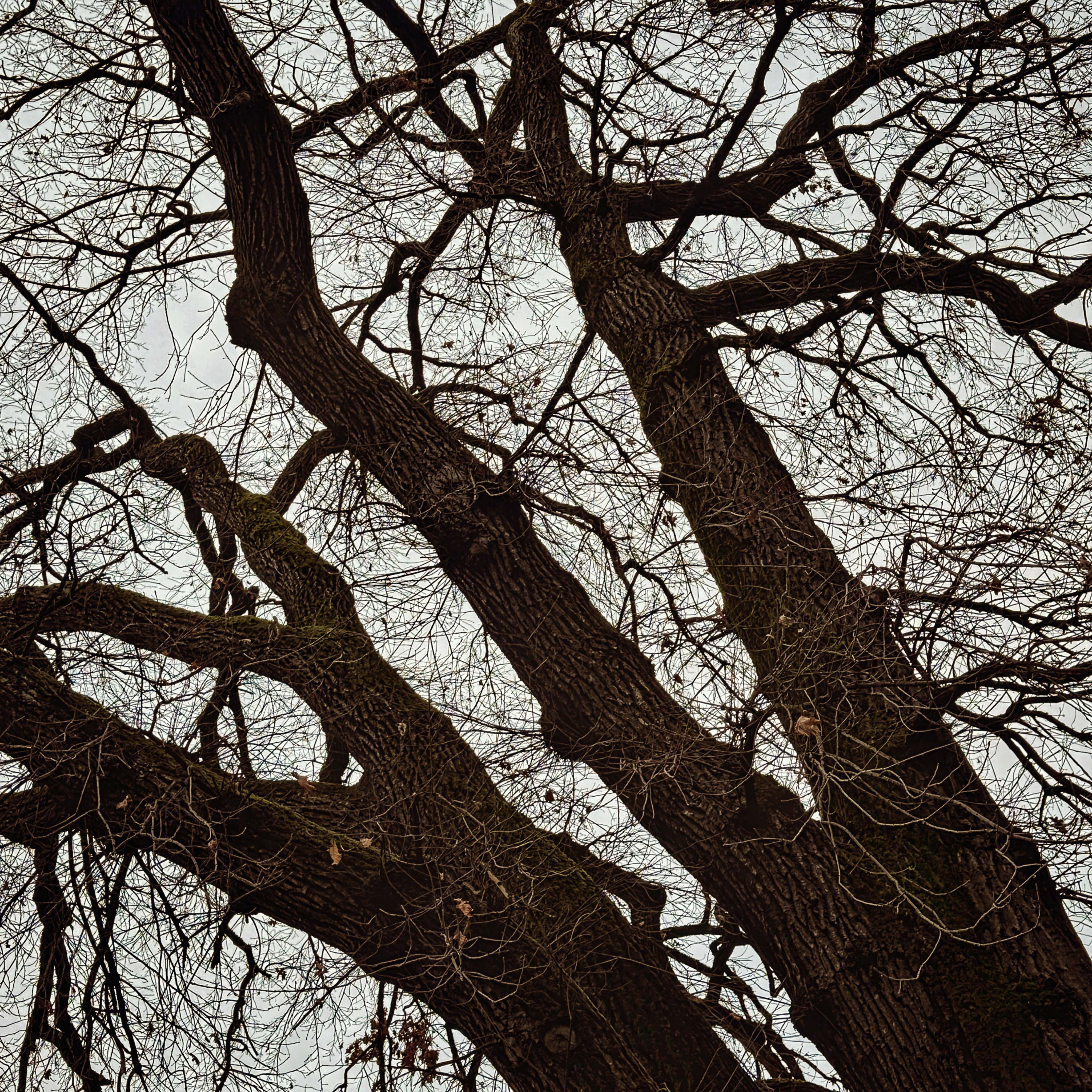  par Isabelle Meister