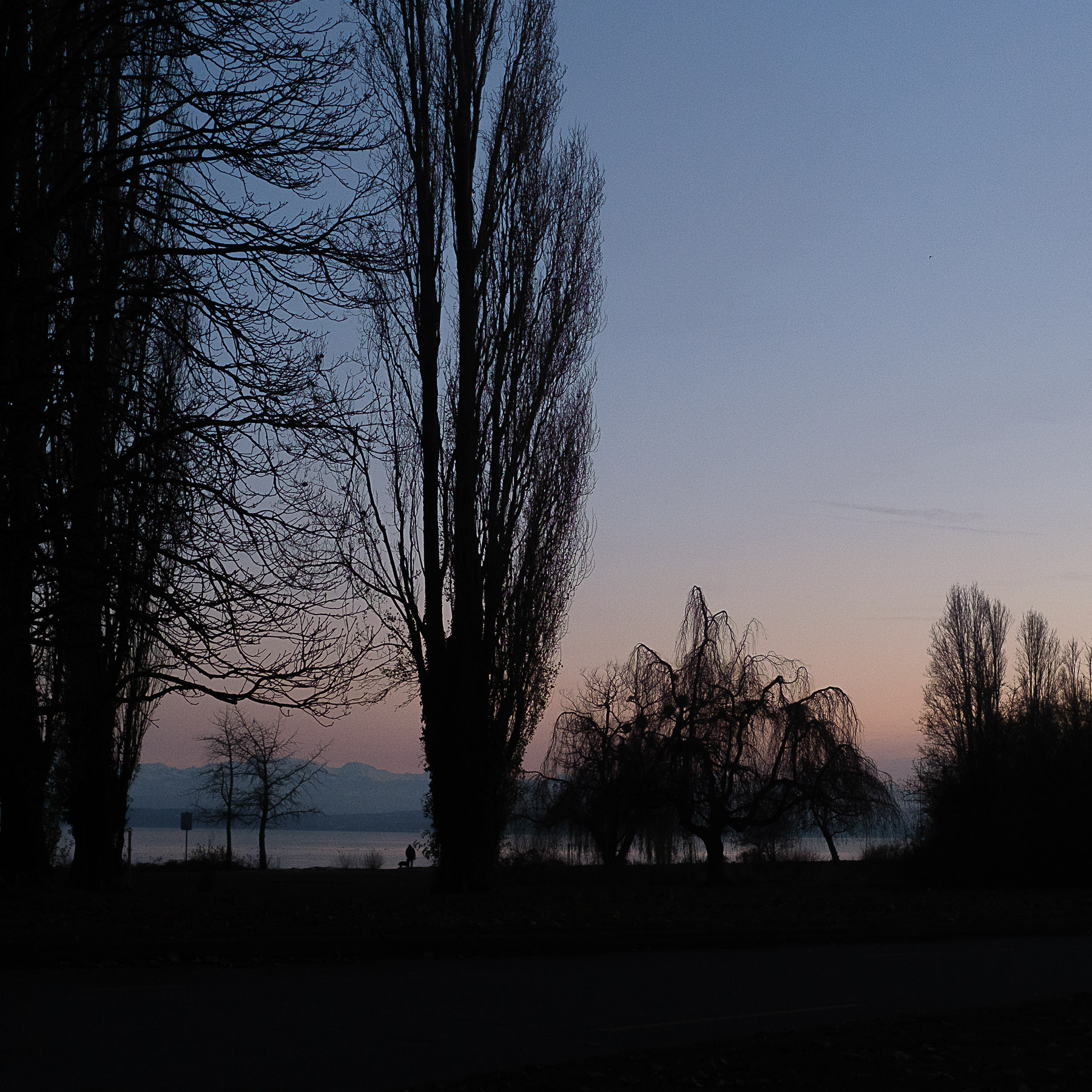 Amazing (photojournala__e 2454) par Anne Wyrsch