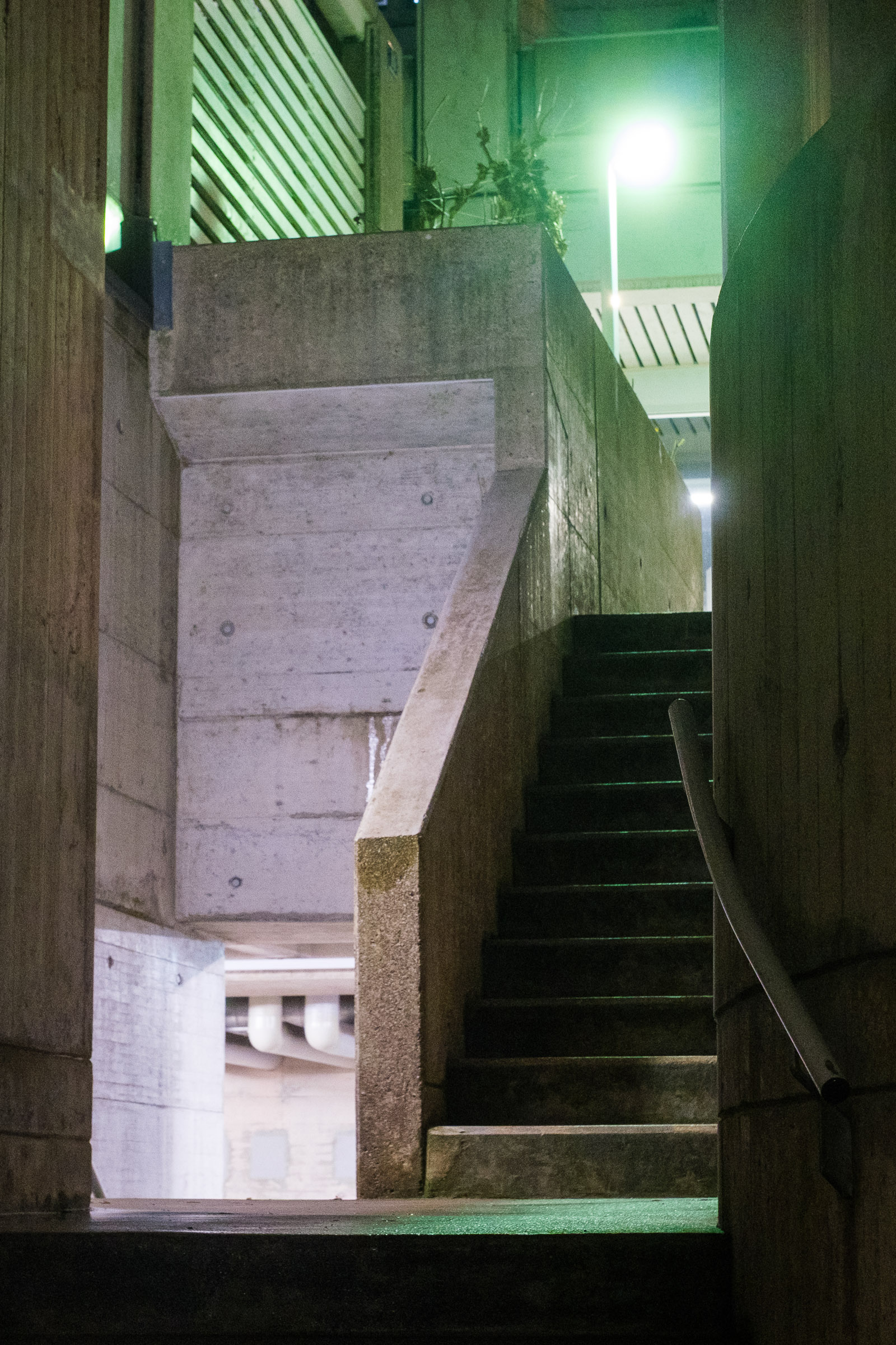 Cornes Morel (photojournala__e 2458) par Anne Wyrsch