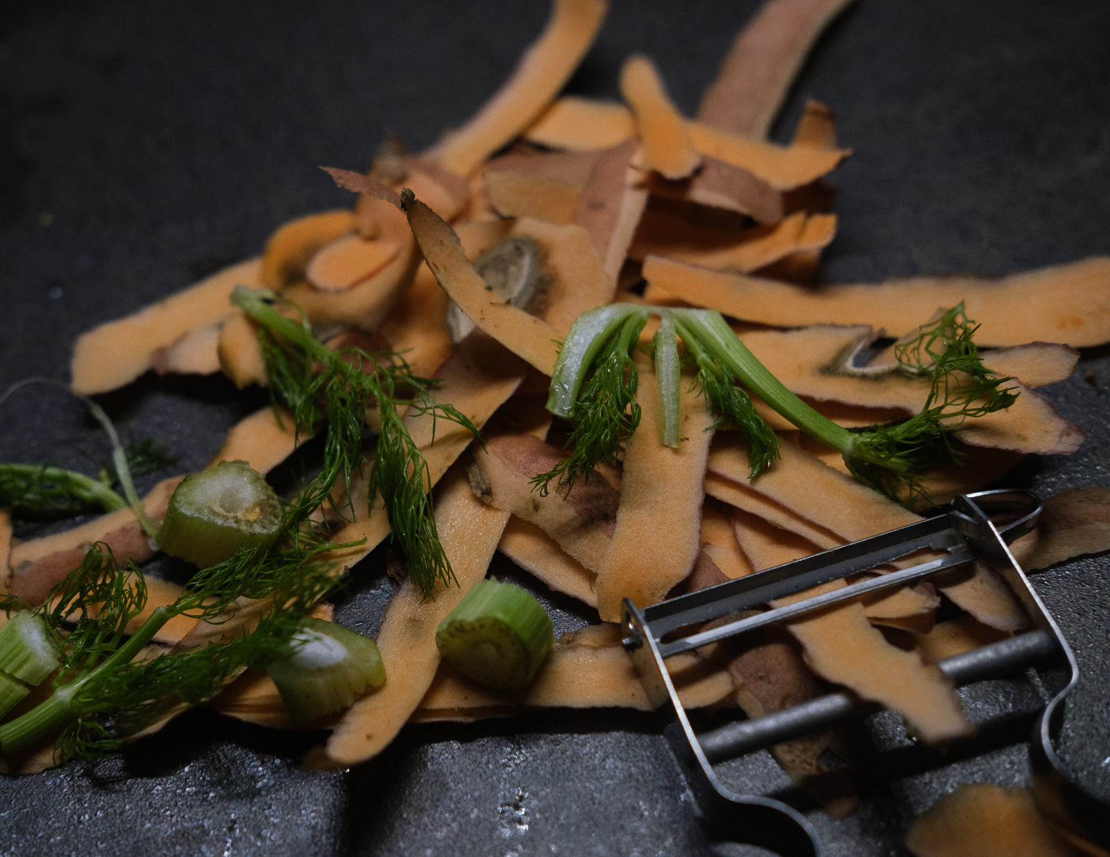 Ebarbure végétale (photojournala__e 2460) par Anne Wyrsch