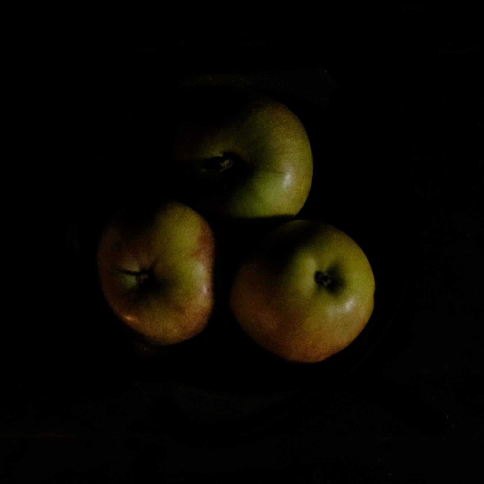 Pom-Pom-Pom (photojournala__e 2462) par Anne Wyrsch