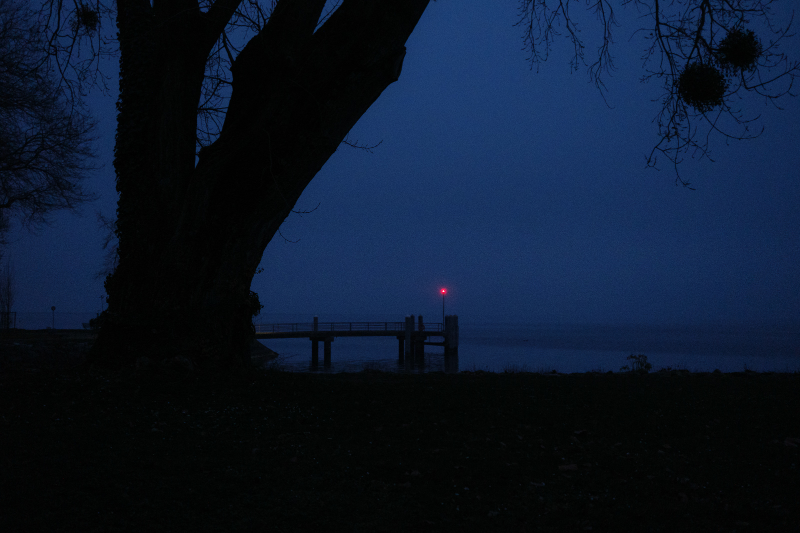 Le neume (photojournala__e 2476) par Anne Wyrsch