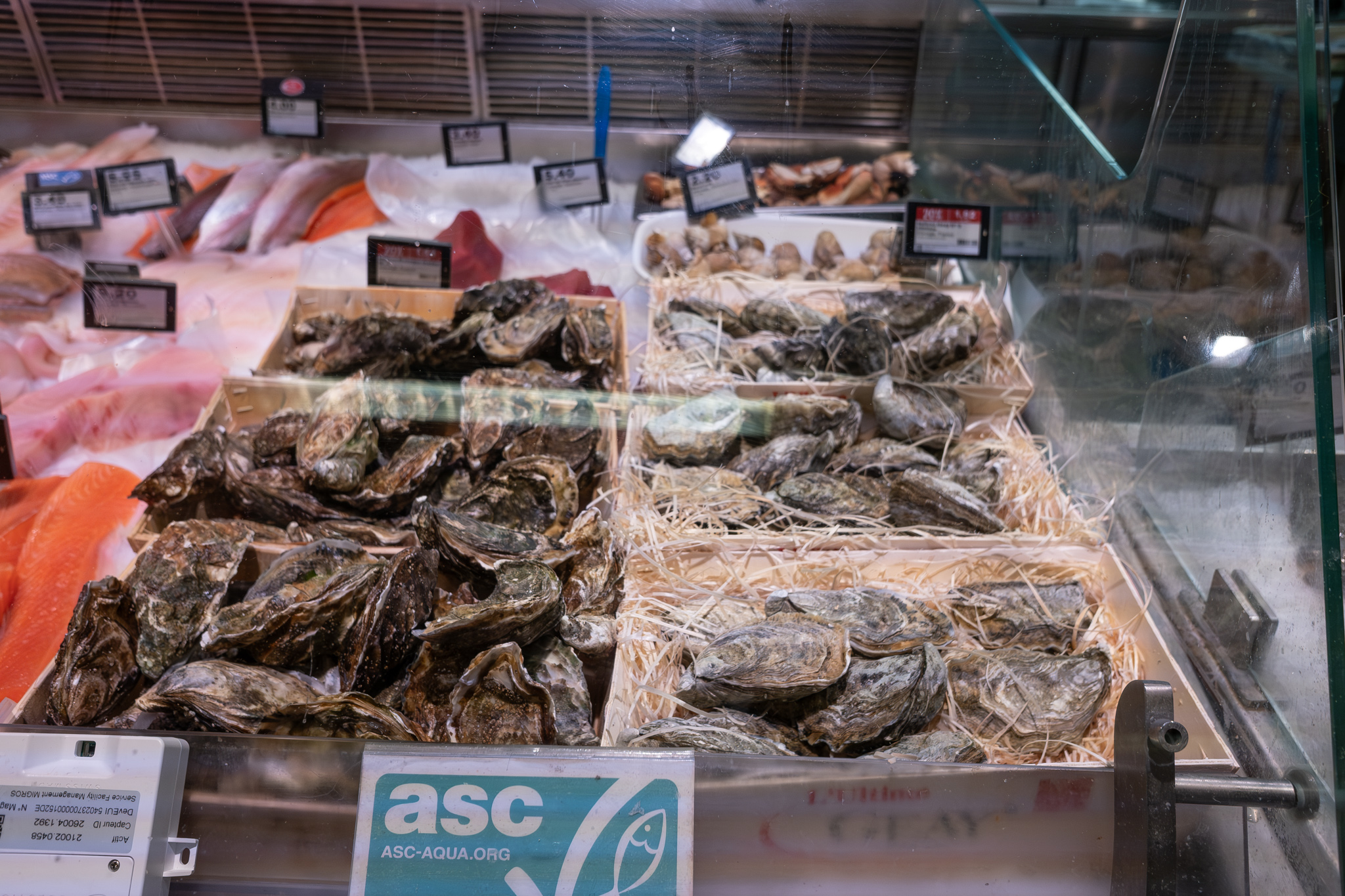  par Michel Israelian