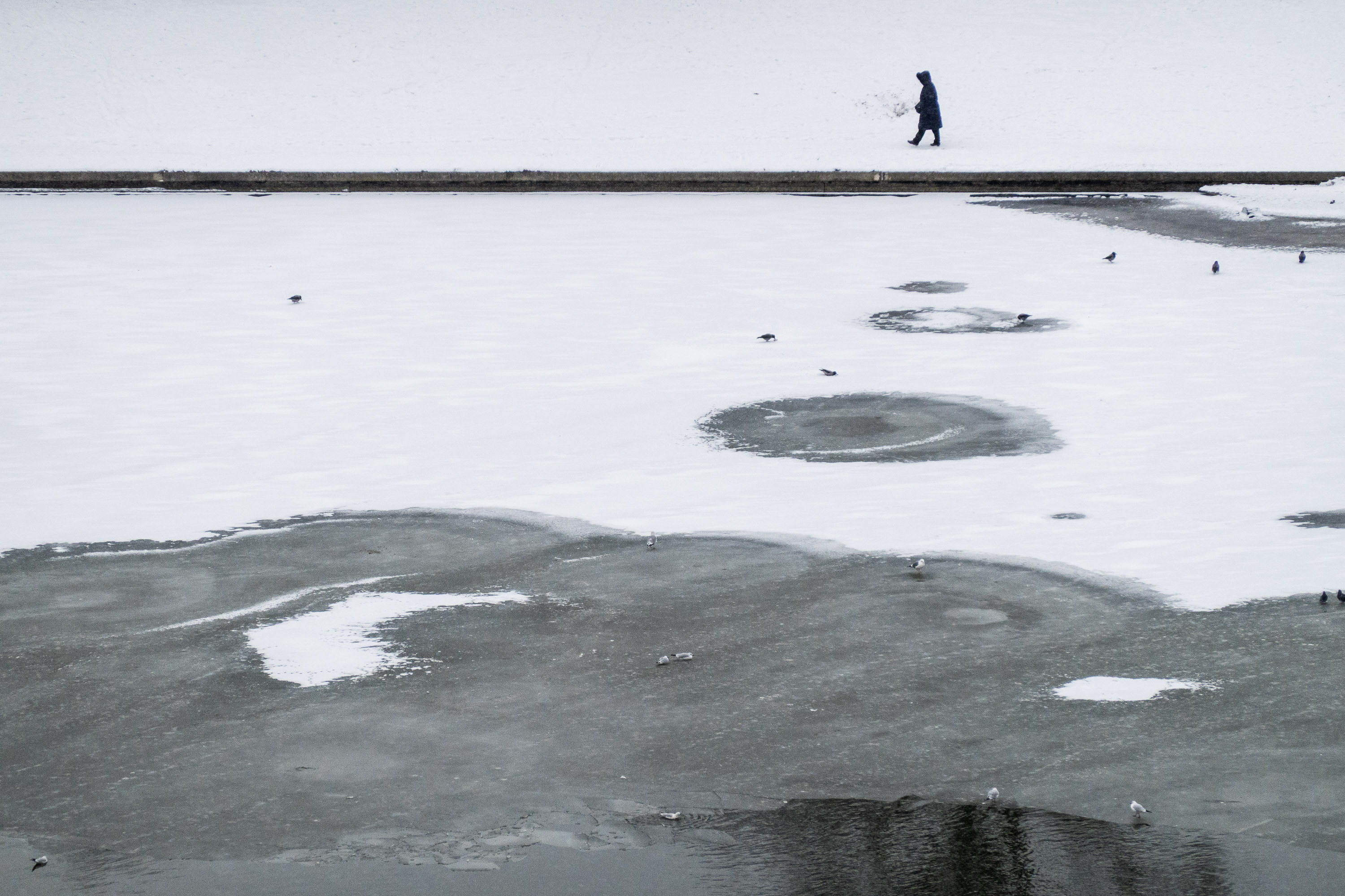  par Tristan Zilberman