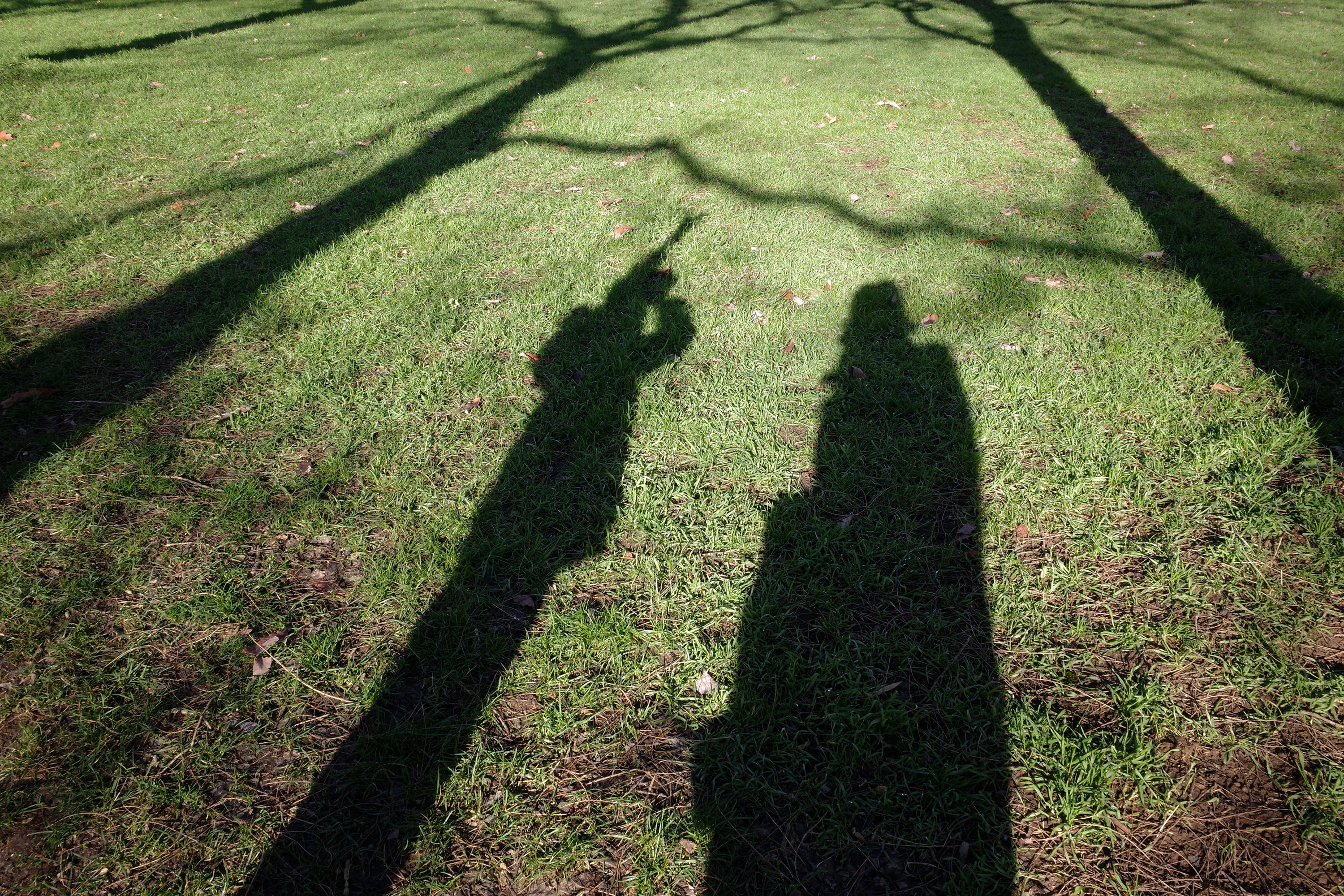 Genève, le 11 janvier 2026 par Silvia Bernardi