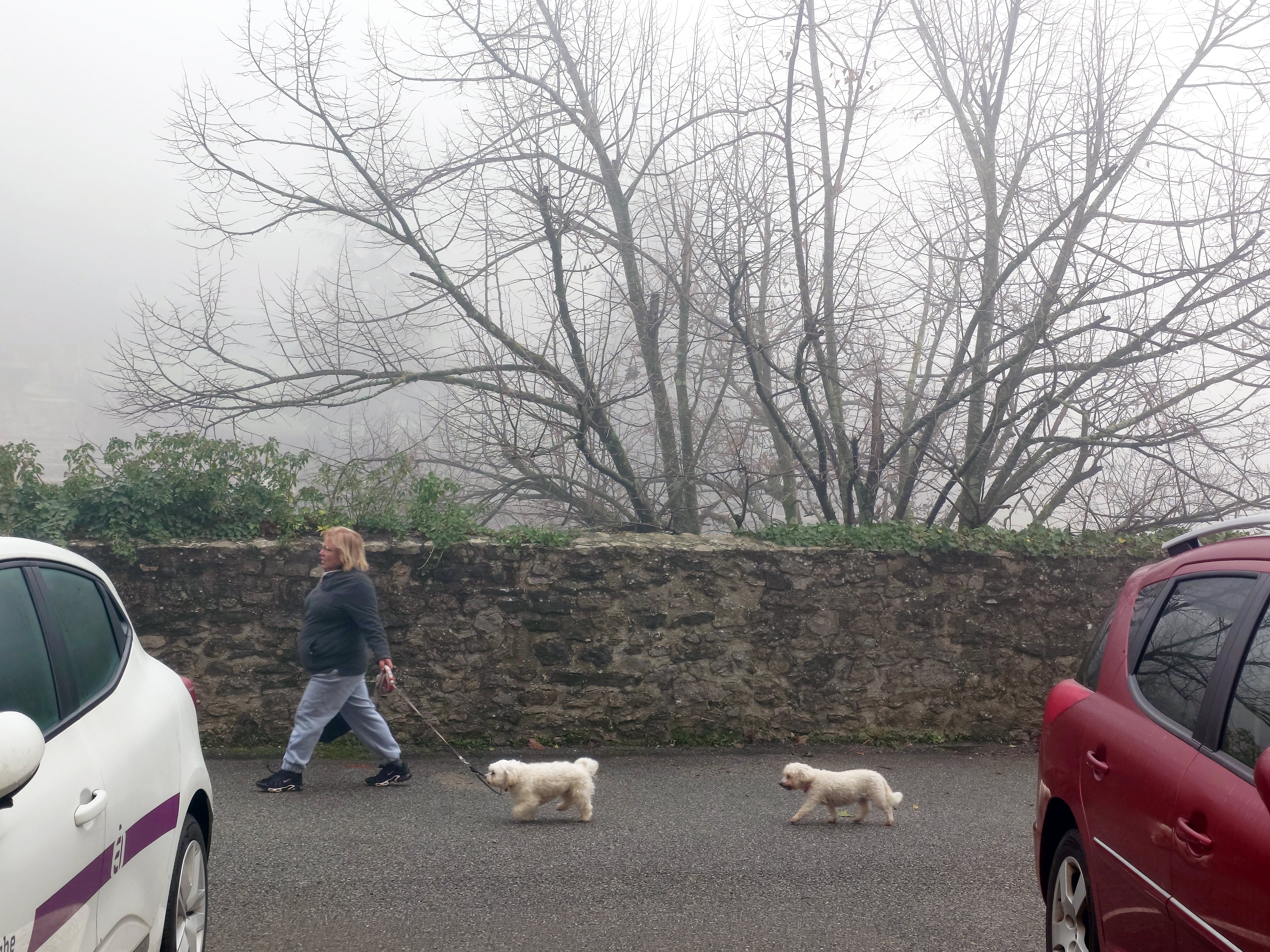  par Arnaud Lancelevée