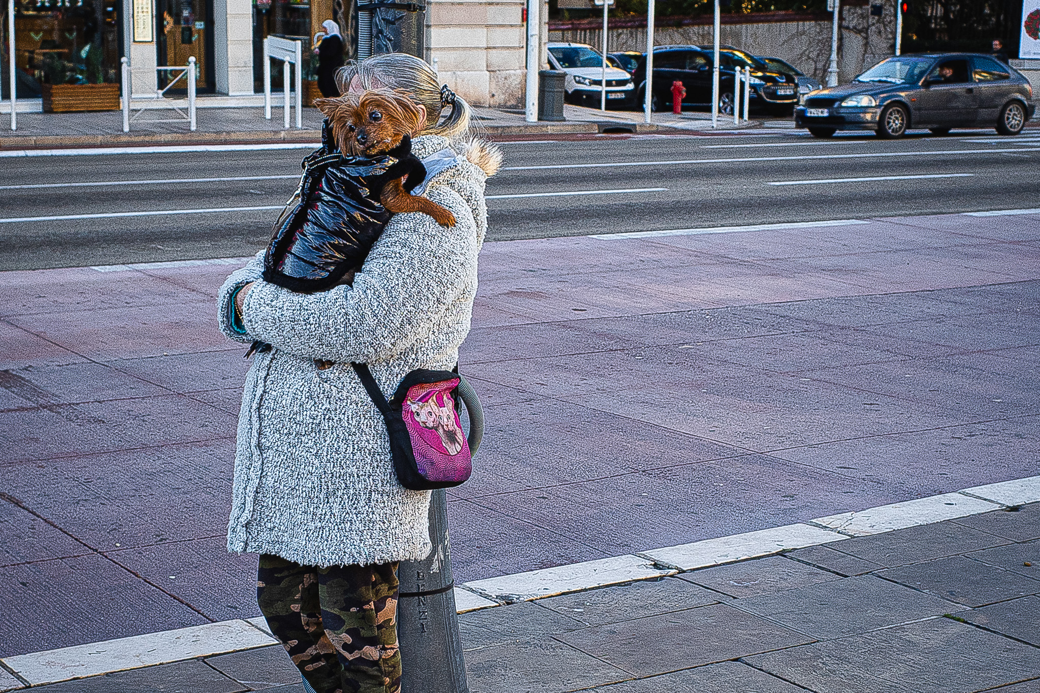 Faux-semblants par Gérard Dubois