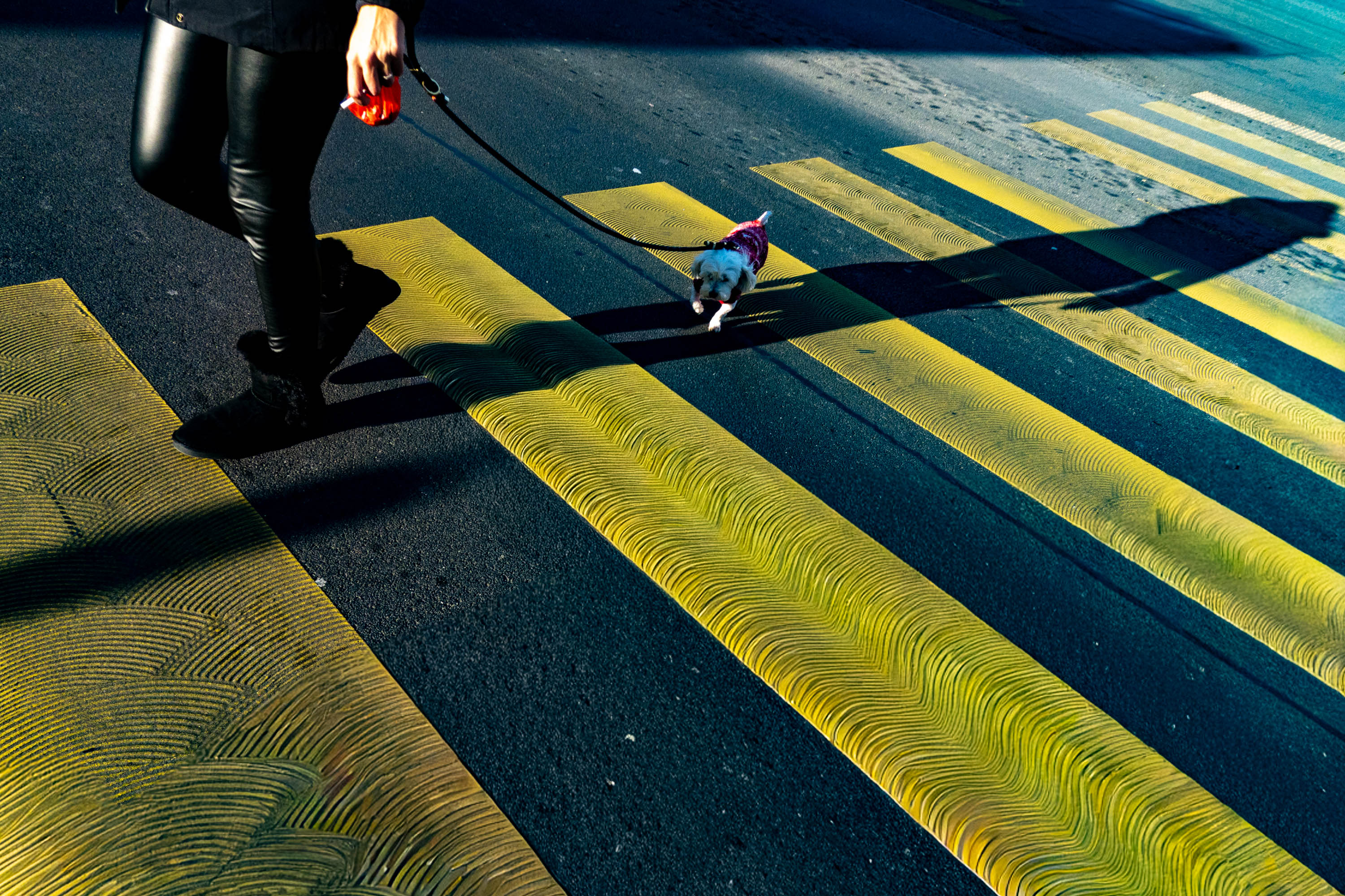 Je retournerai à Amsterdam par Michel Bruno