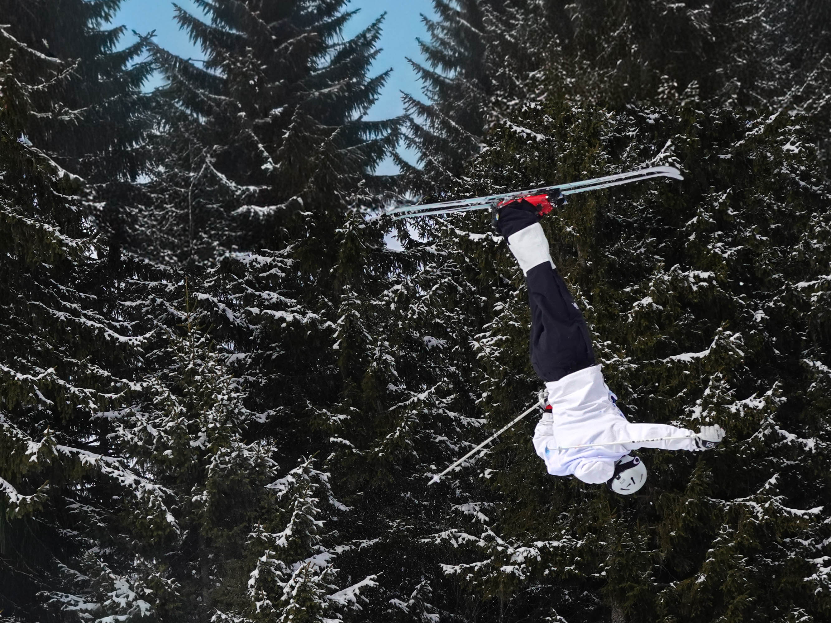 Backflippant par Michel Bruno