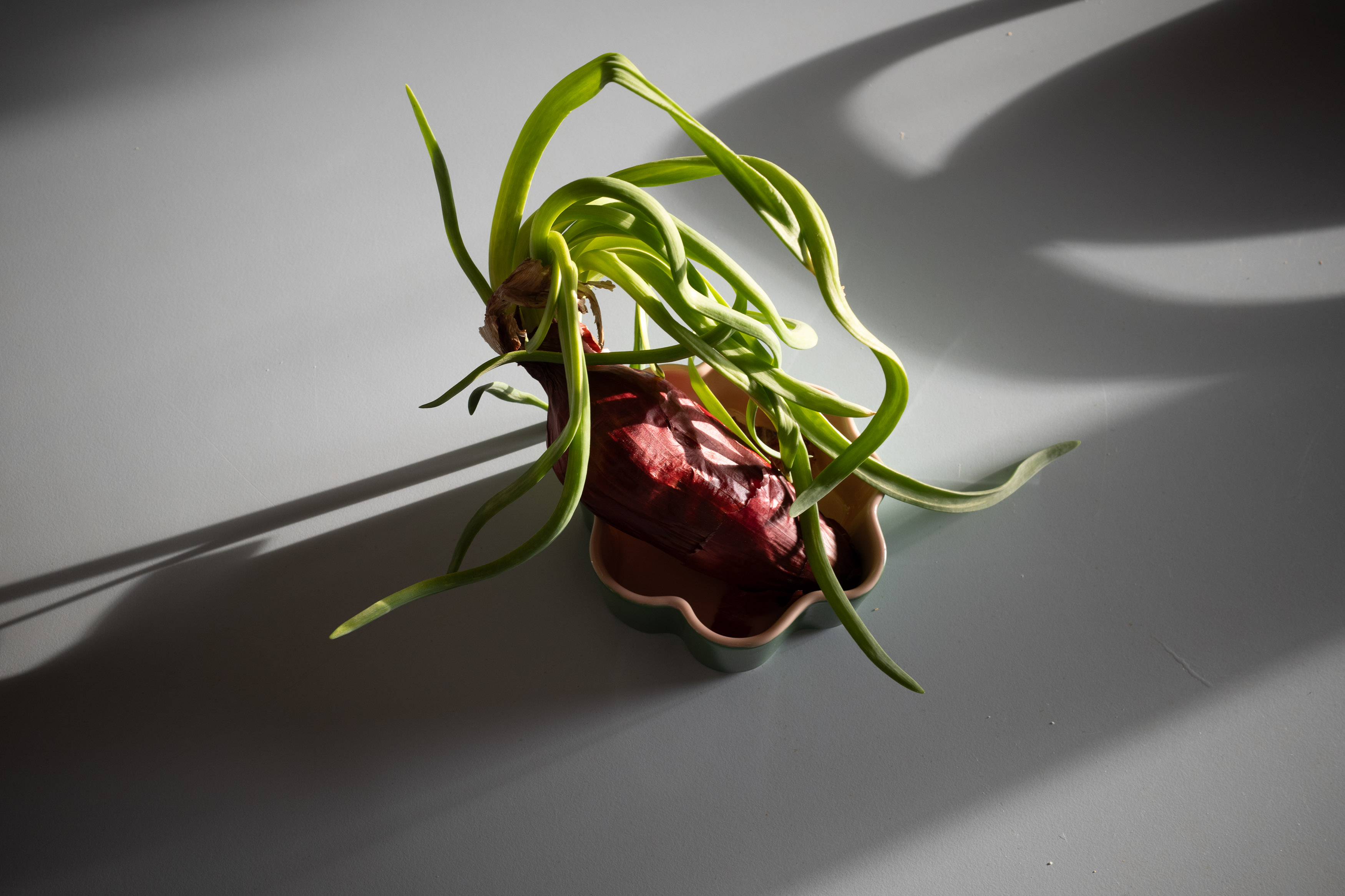 H.S. 4 par Francis Traunig