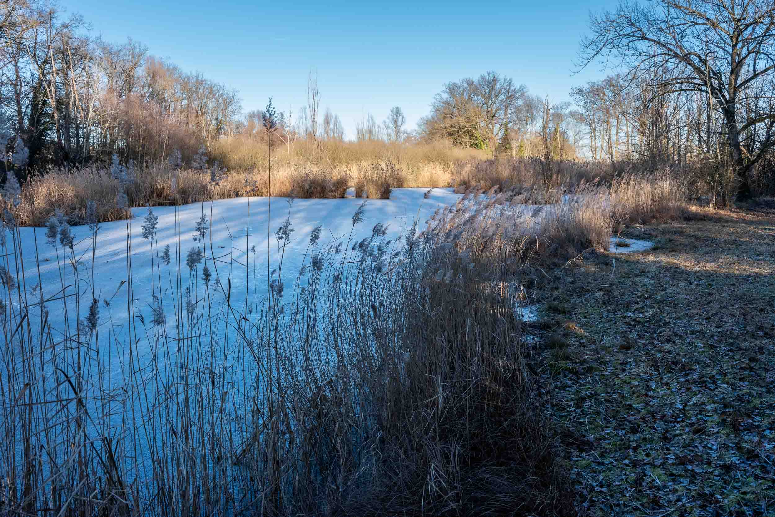 4/01/2026 par Francis Traunig