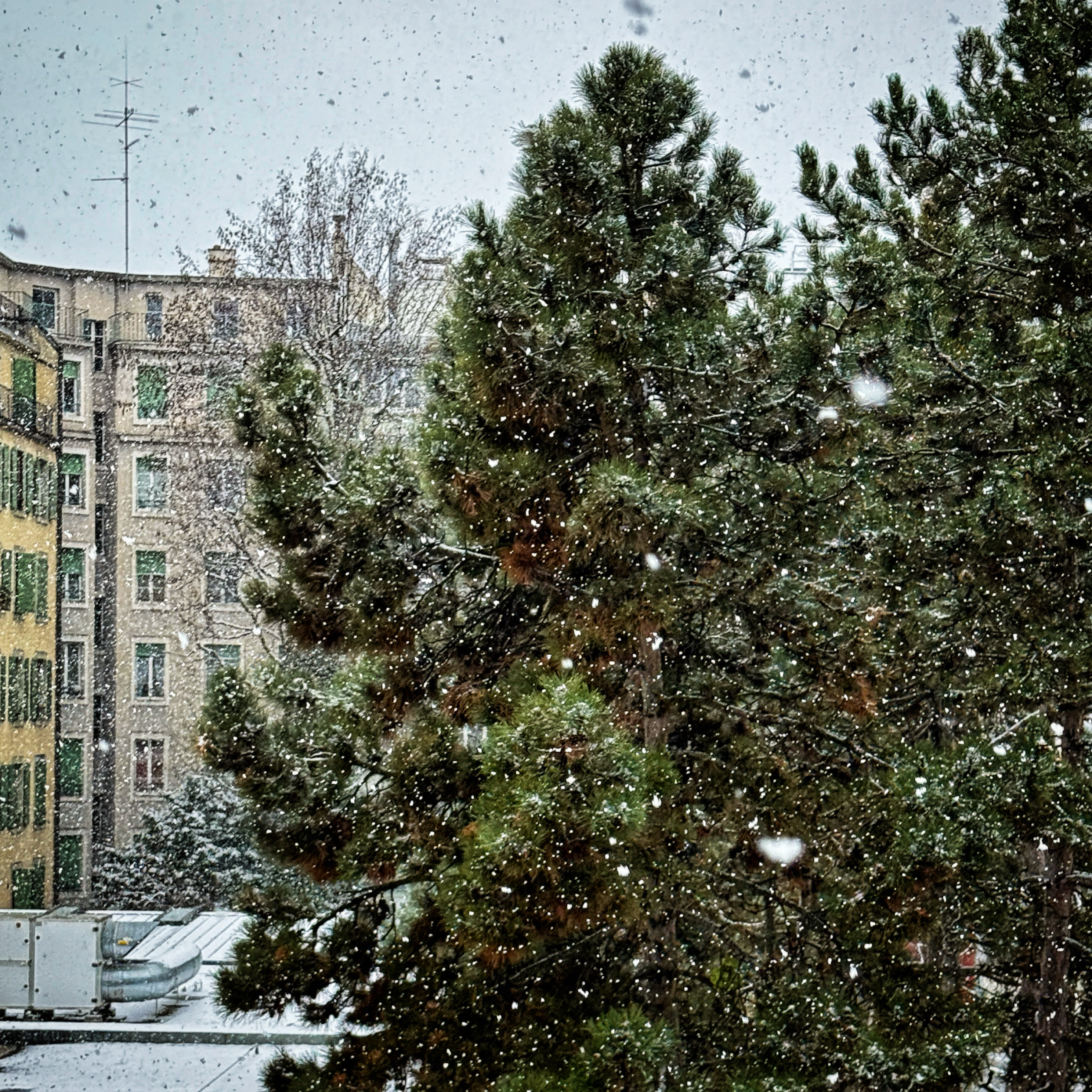  par Isabelle Meister