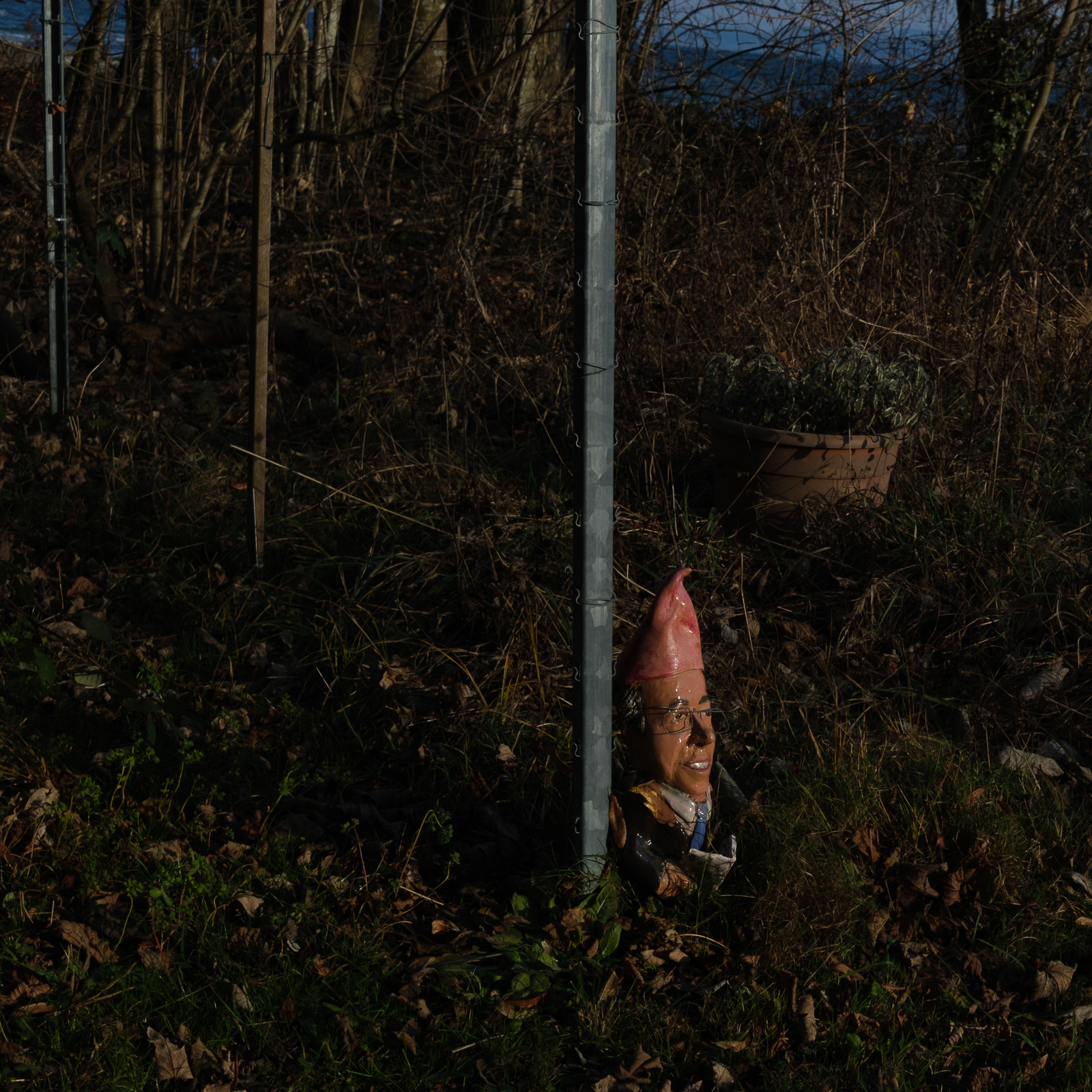 Le gardien de la Tour (photojournala__e 2487) par Anne Wyrsch