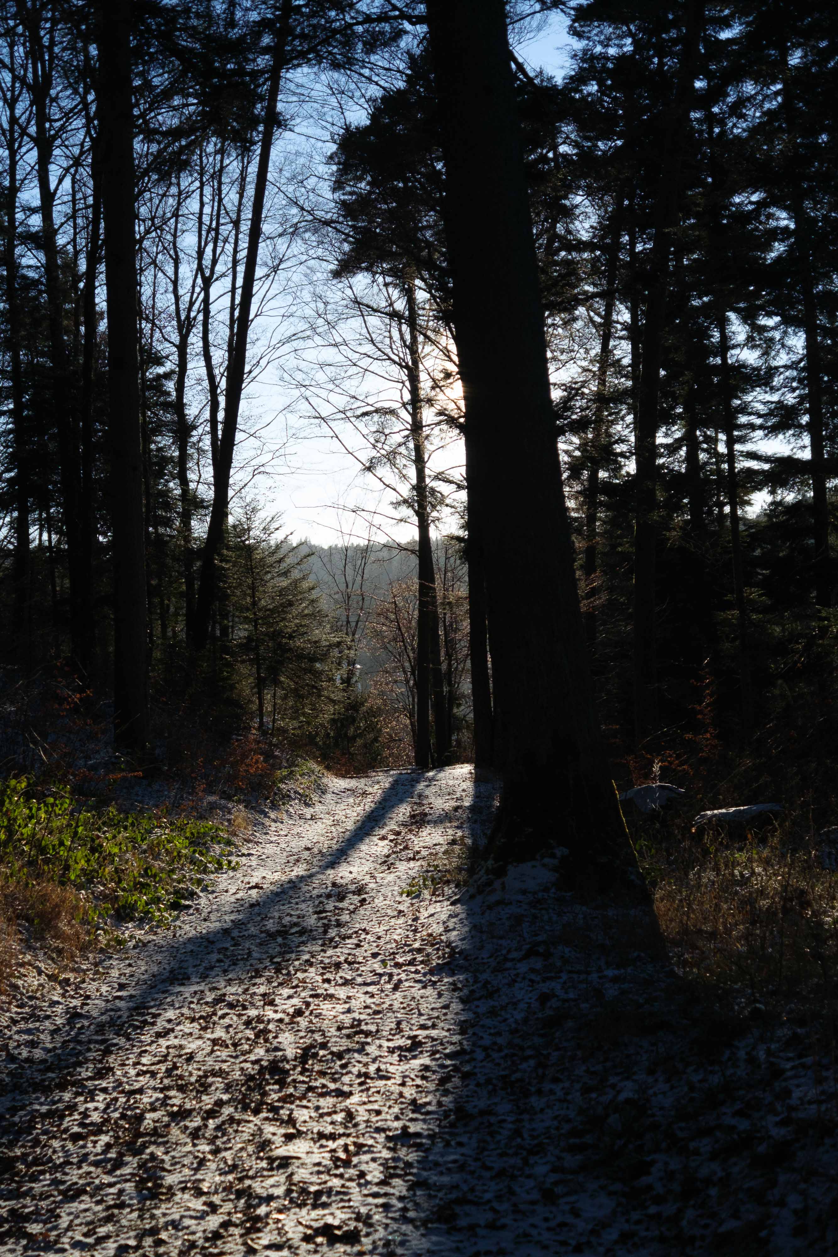 Hors de l&rsquo;actu (photojournala__e 2490) par Anne Wyrsch