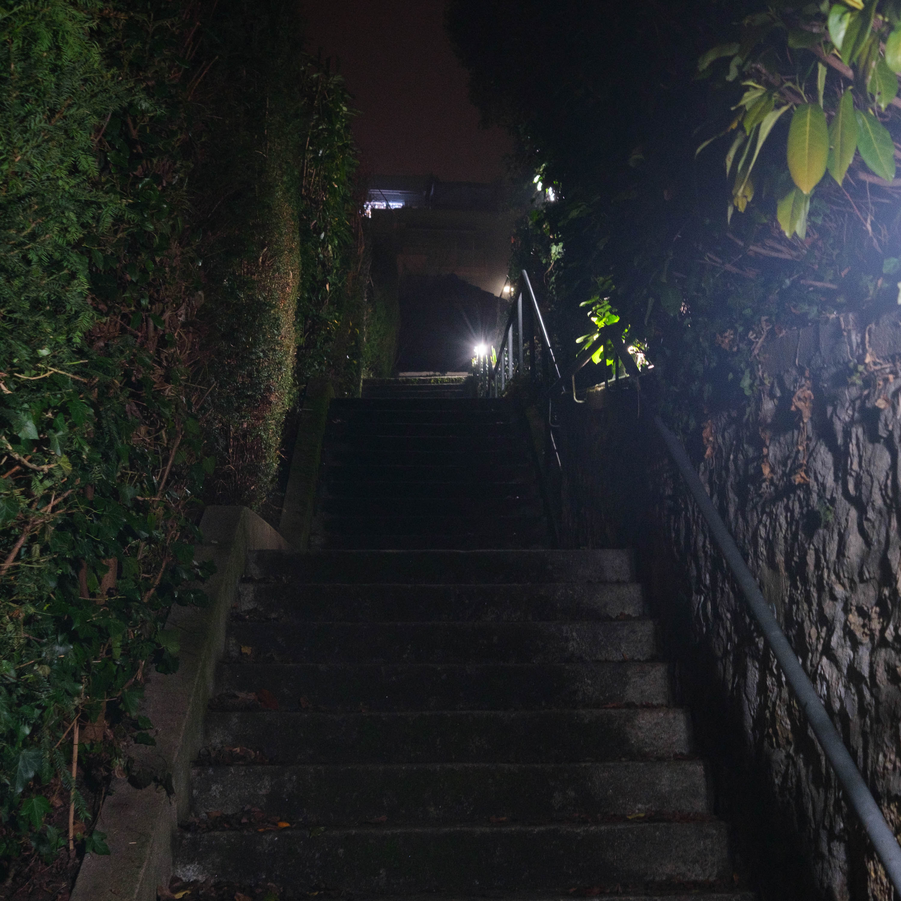 En cherchant bien (photojournala__e 2502) par Anne Wyrsch