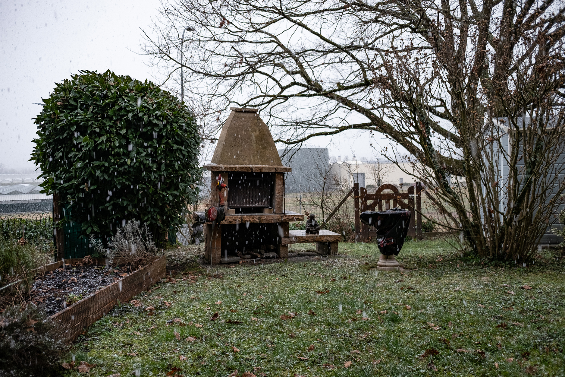  par Michel Israelian